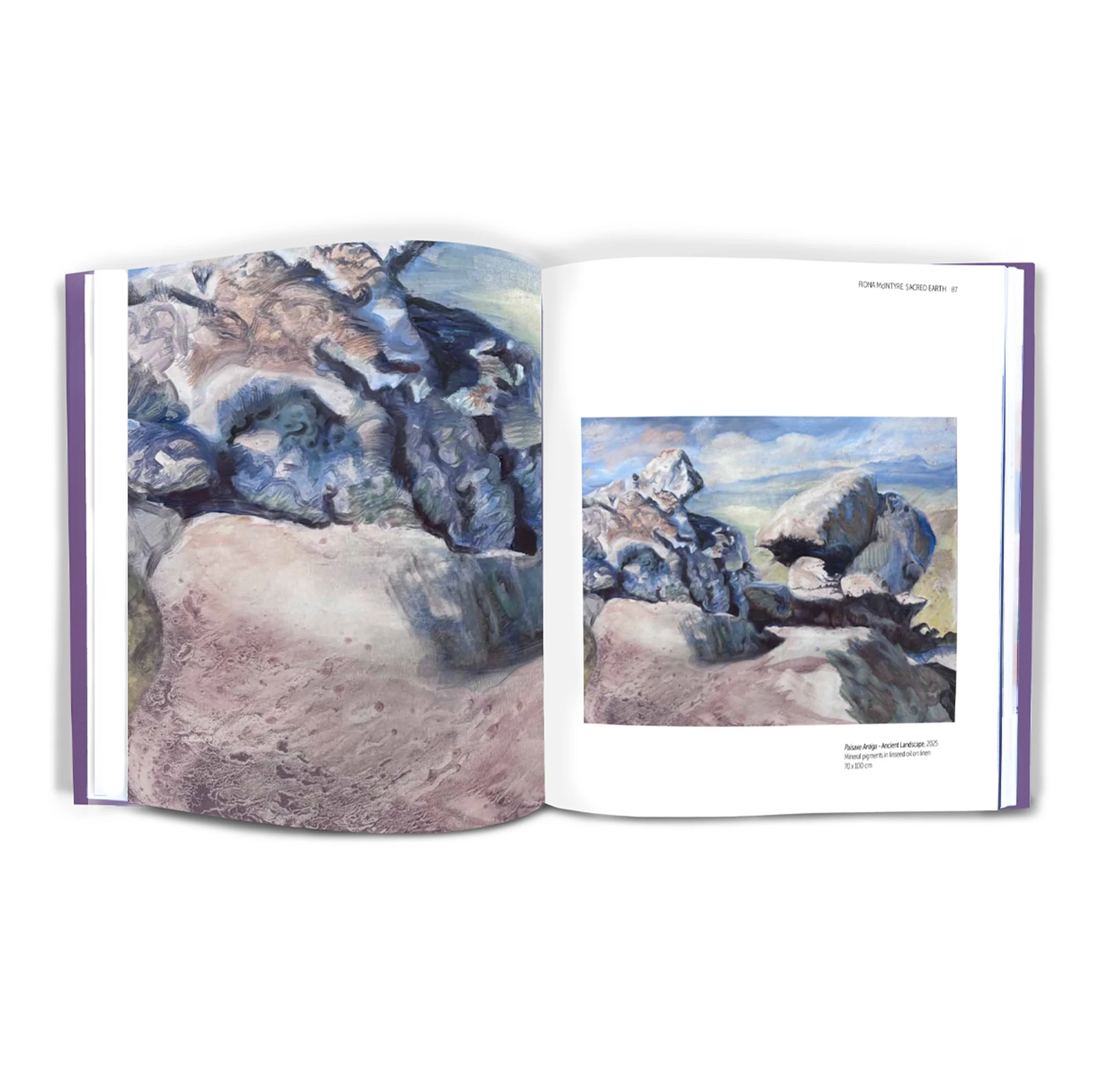 Sacred Earth_rock_shop.jpg