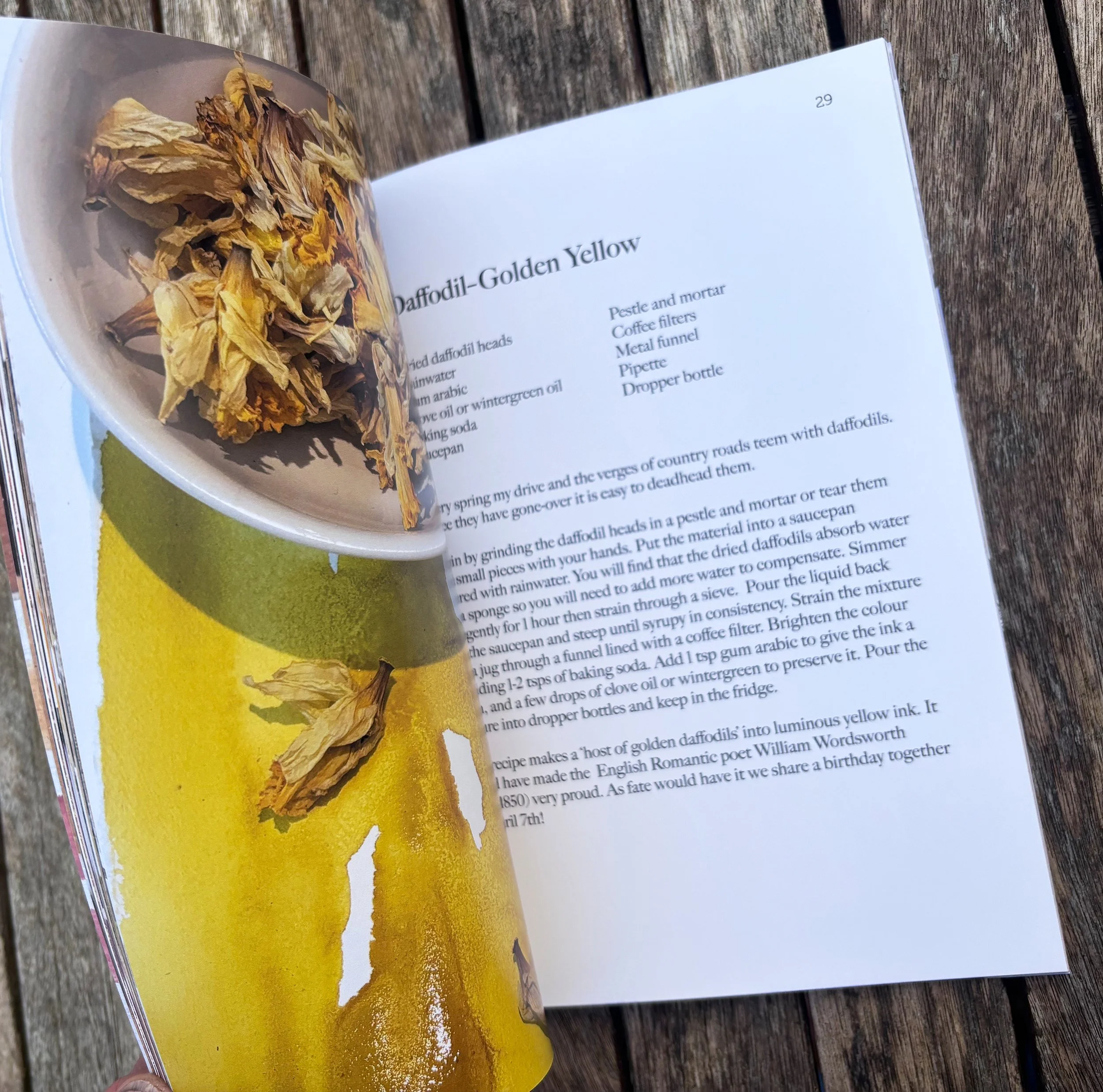 Inks booklet p29_shop.jpg