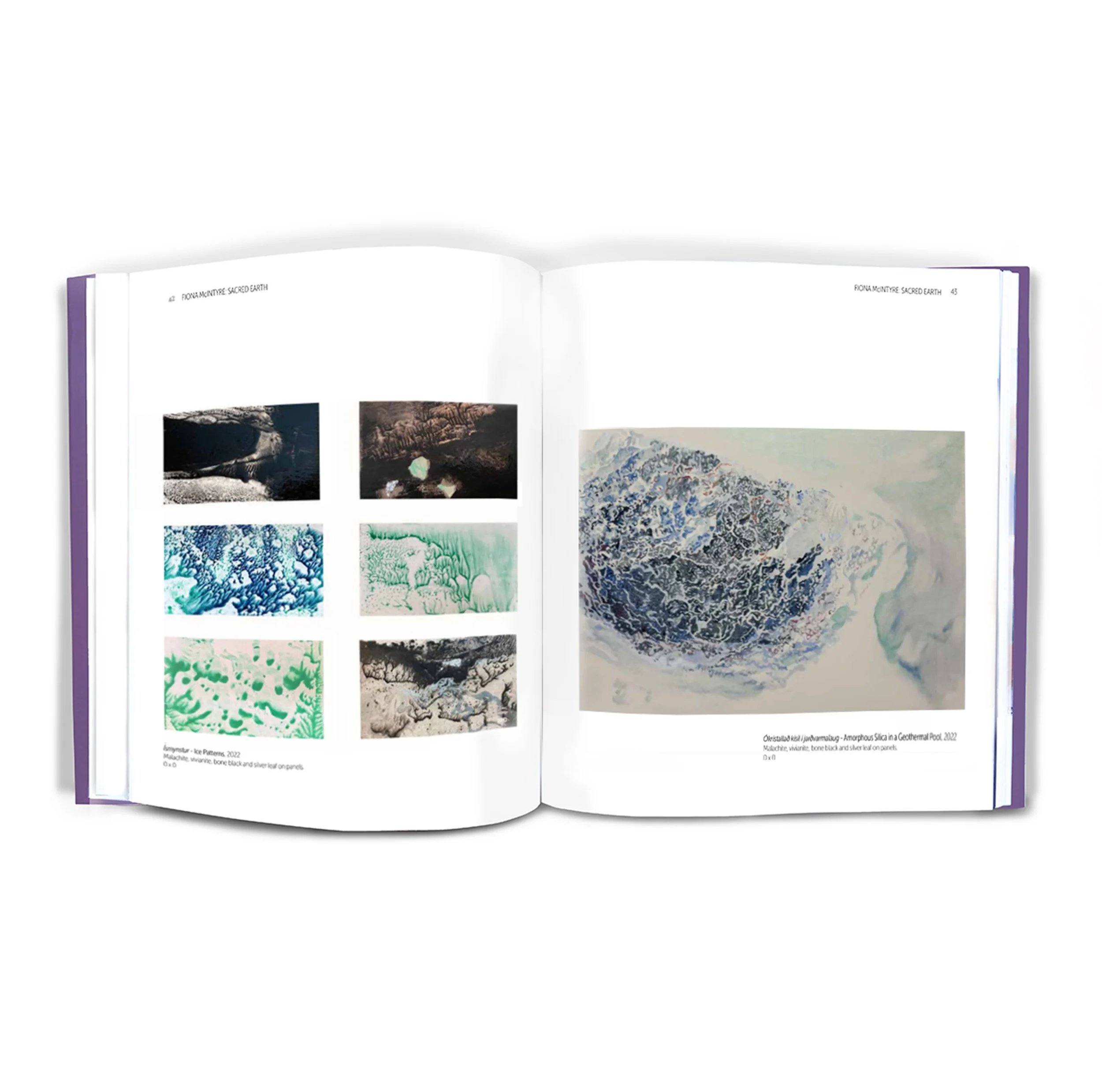 Sacred Earth_ice_shop.jpg