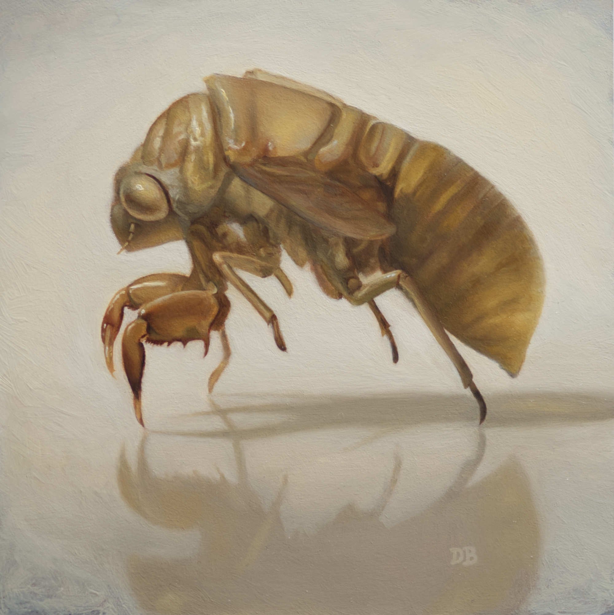  Exoskeleton I  Oil on board  6 x 6 inches  2024 