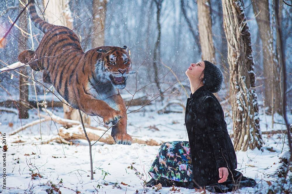 Lourdes y el tigre (2016)