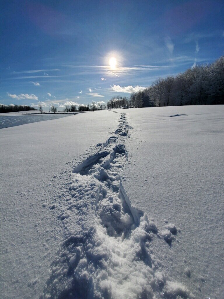 Fieldstone Farm bed and breakfast footprints in the snow