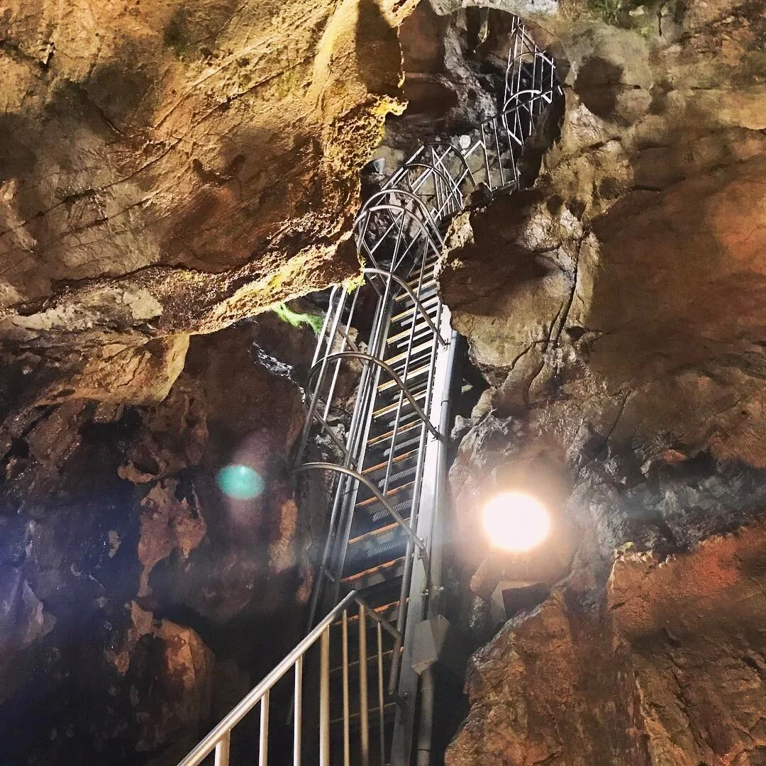 Visited Sizushi calcareous cave last week. Vertical stairs to go down. My mom is fearless. 京都府唯一の質志鍾乳洞。先週連れて行ってもらいました。直角な階段も平気で降りて行った怖いもの知らずのうちのお母さん。