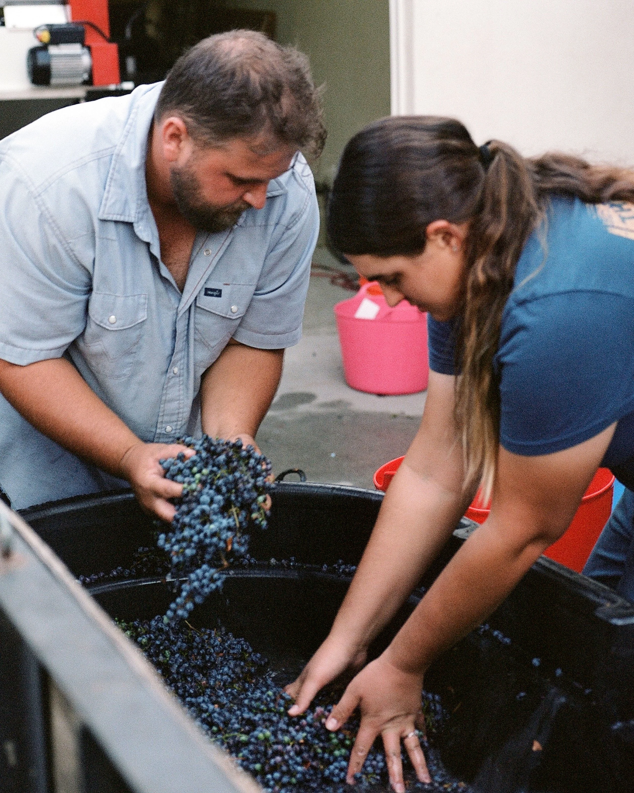 _wildlife_vineyards_harvest-aug-21-13.jpg