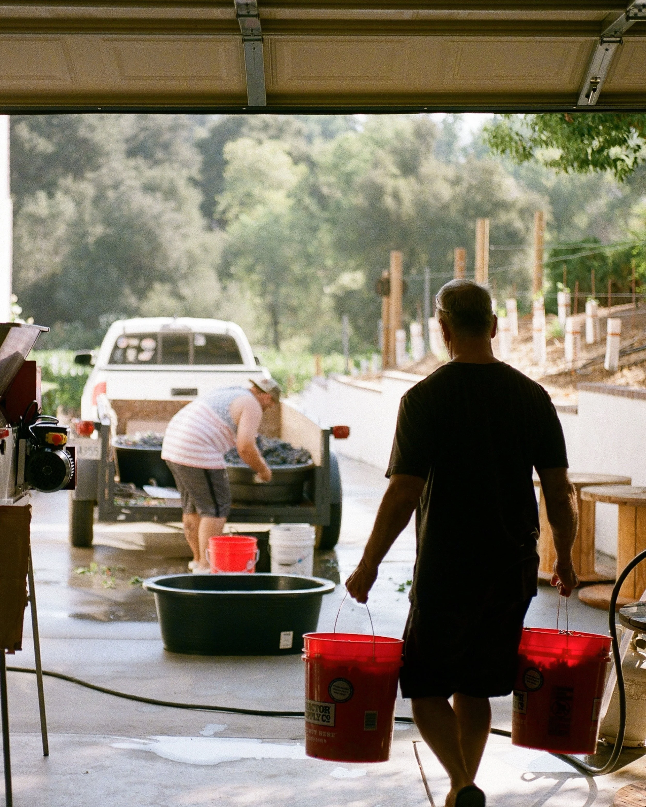 _wildlife_vineyards_harvest-aug-21-18.jpg