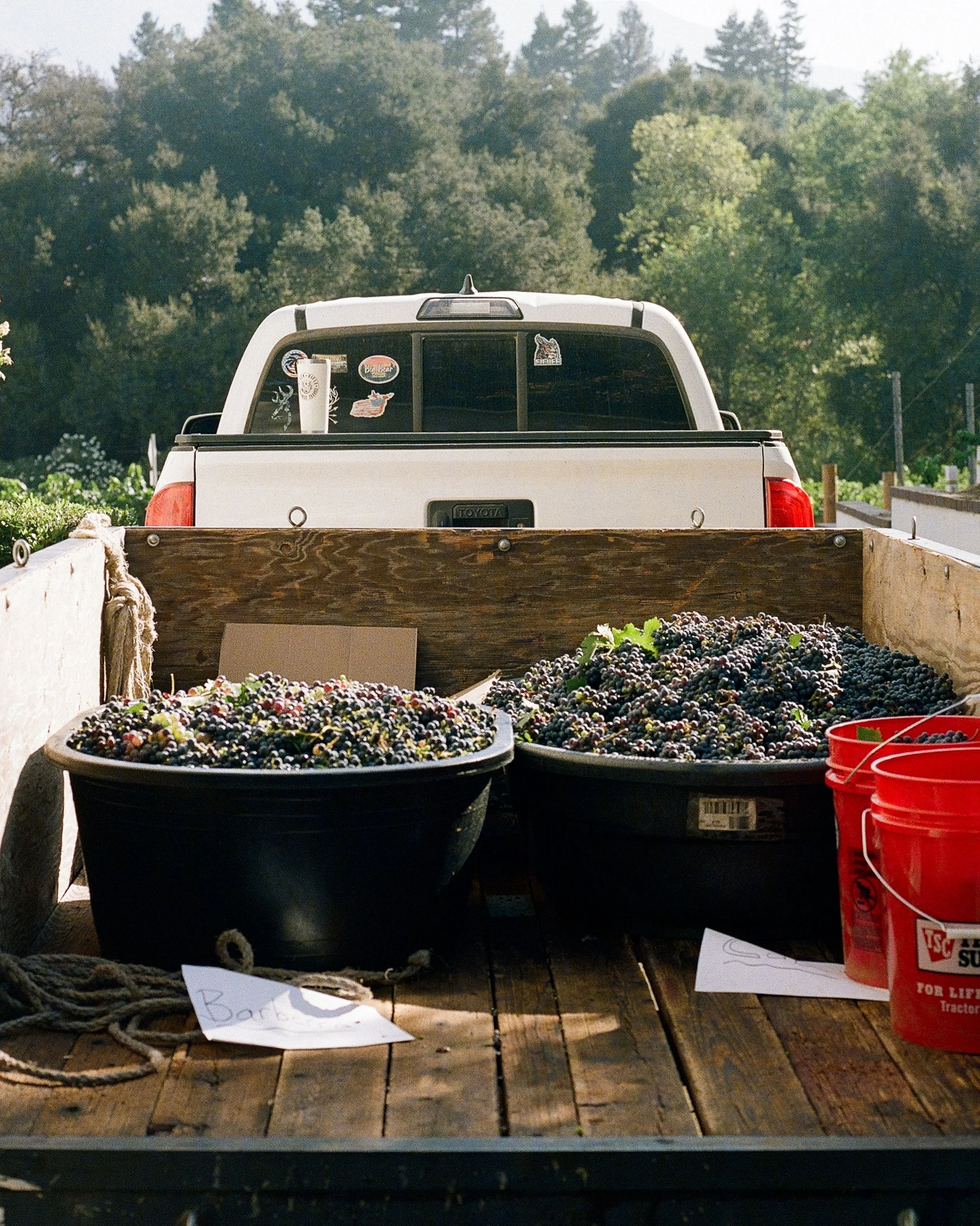_wildlife_vineyards_harvest-aug-21-15.jpg