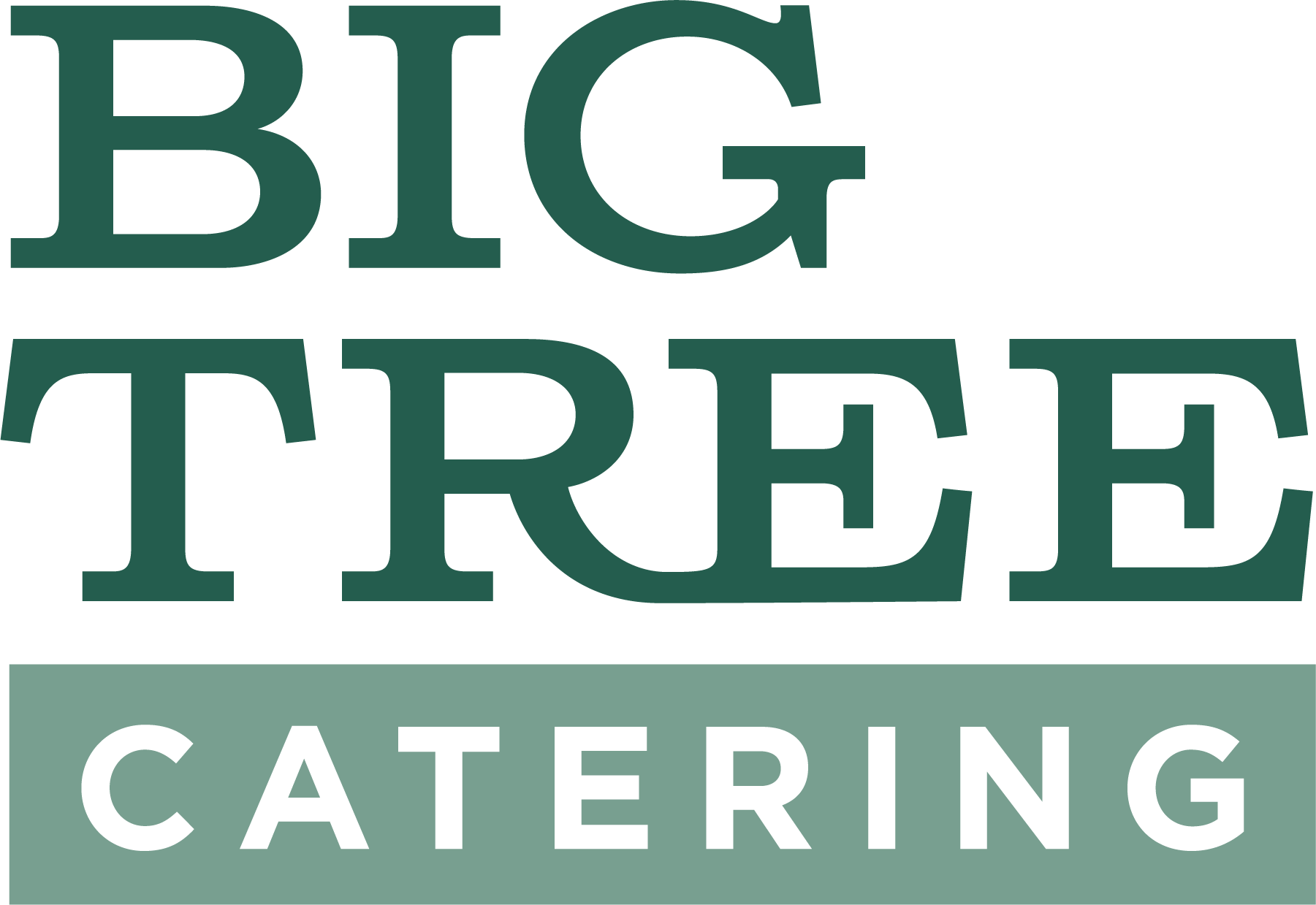 Logo for Big Tree Catering with the words 'BIG TREE' in large green letters above 'CATERING' in white letters on a green background.