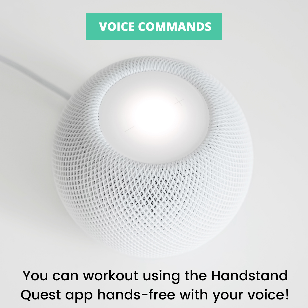 Workout using voice commands!
