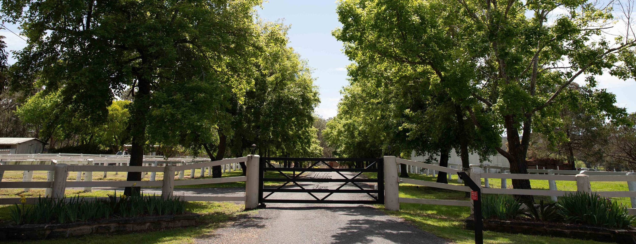 Hadden-Farm-Story-2.jpg