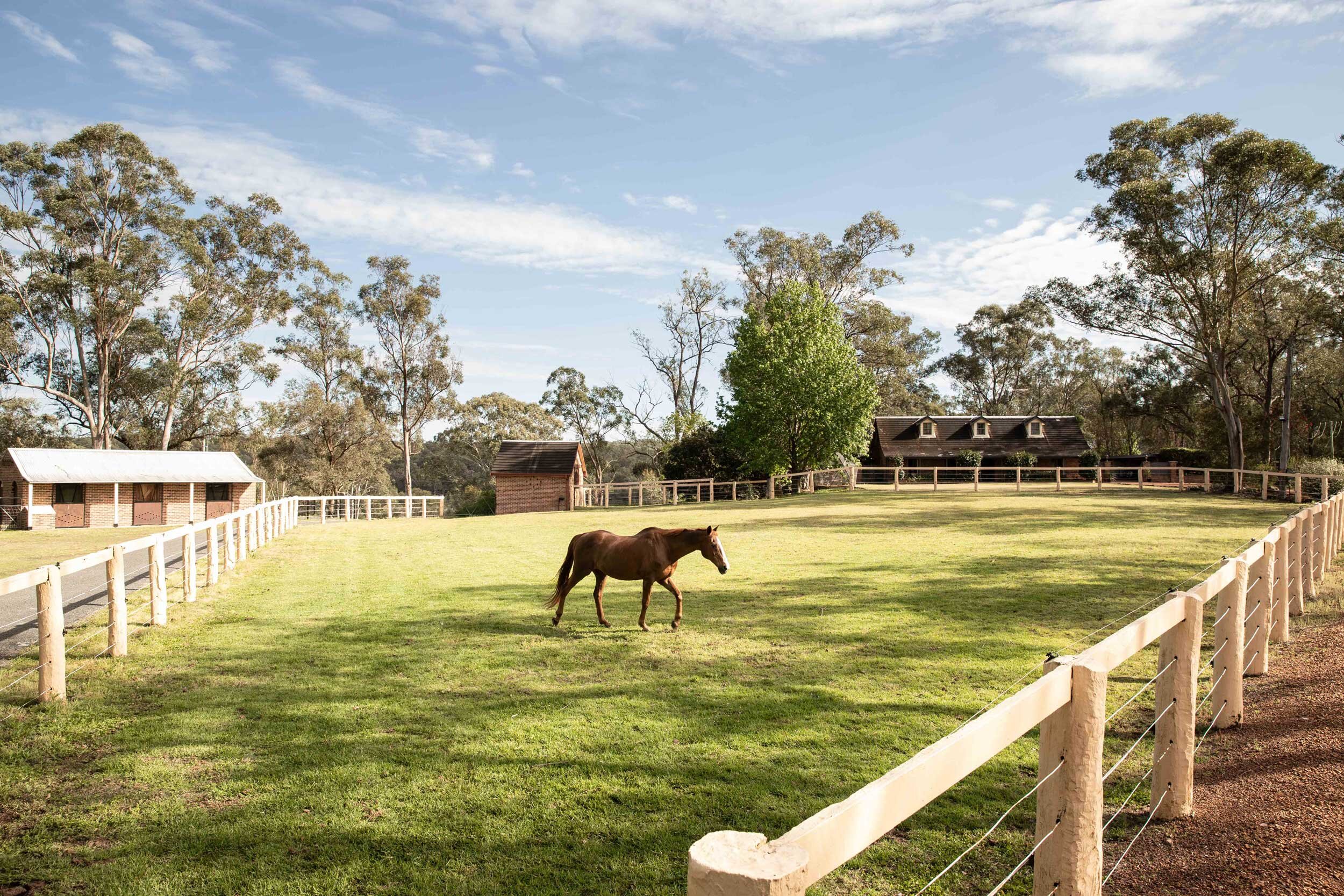 Individual Yards — Hadden Farm