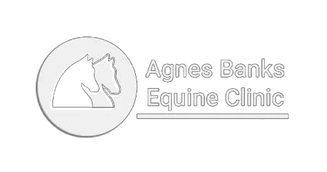 Agnes Banks Equine Clinic