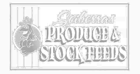 Sciberra-logo-rev.png