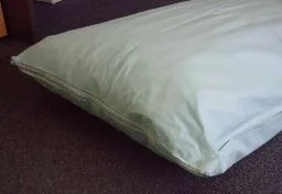 Pillow protector waterproof green.JPG