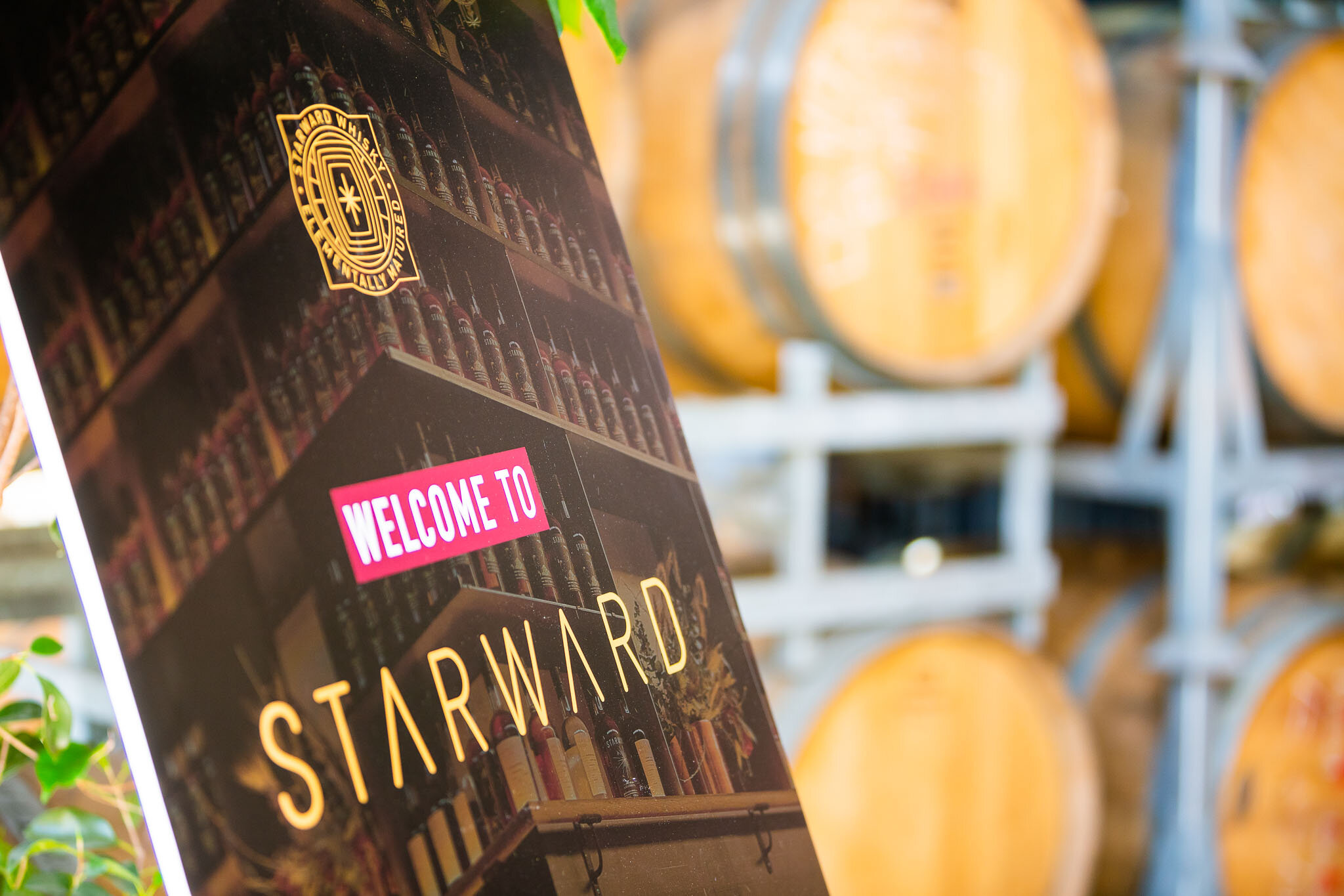 _D1A0193 - 2048px sRGB.jpg