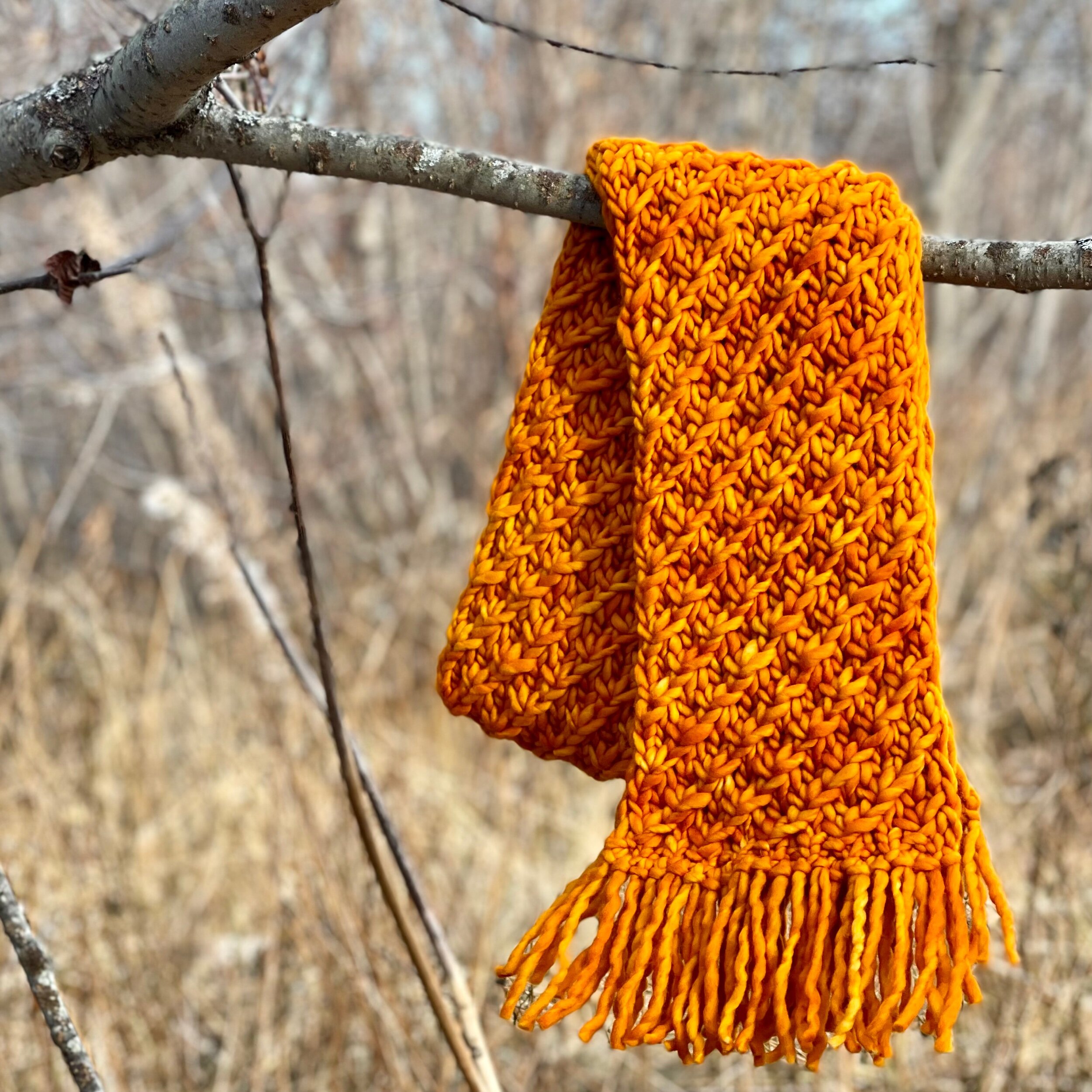 68DED321-B57E-4439-B38C-6F43ACEF2D14