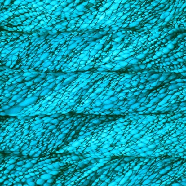 86BD3A08-AFC9-4630-AAE0-F7E10976C527