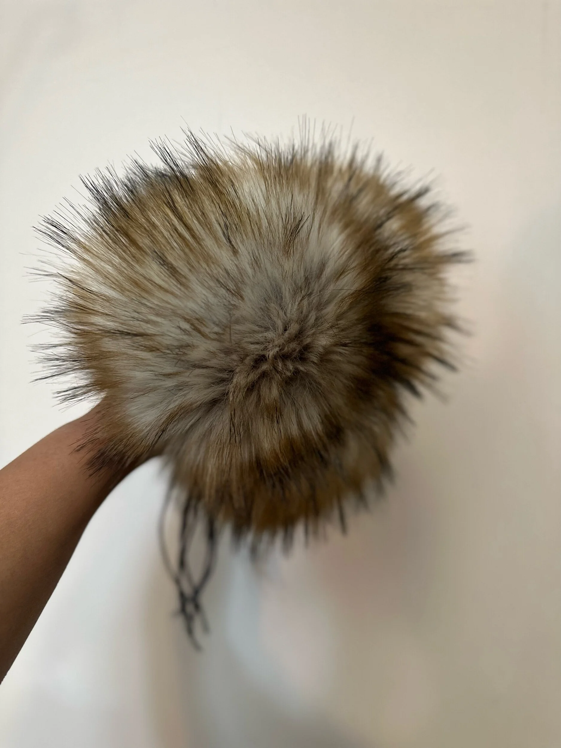 F9F61241-DE63-4D26-9BE2-E604B77489FC