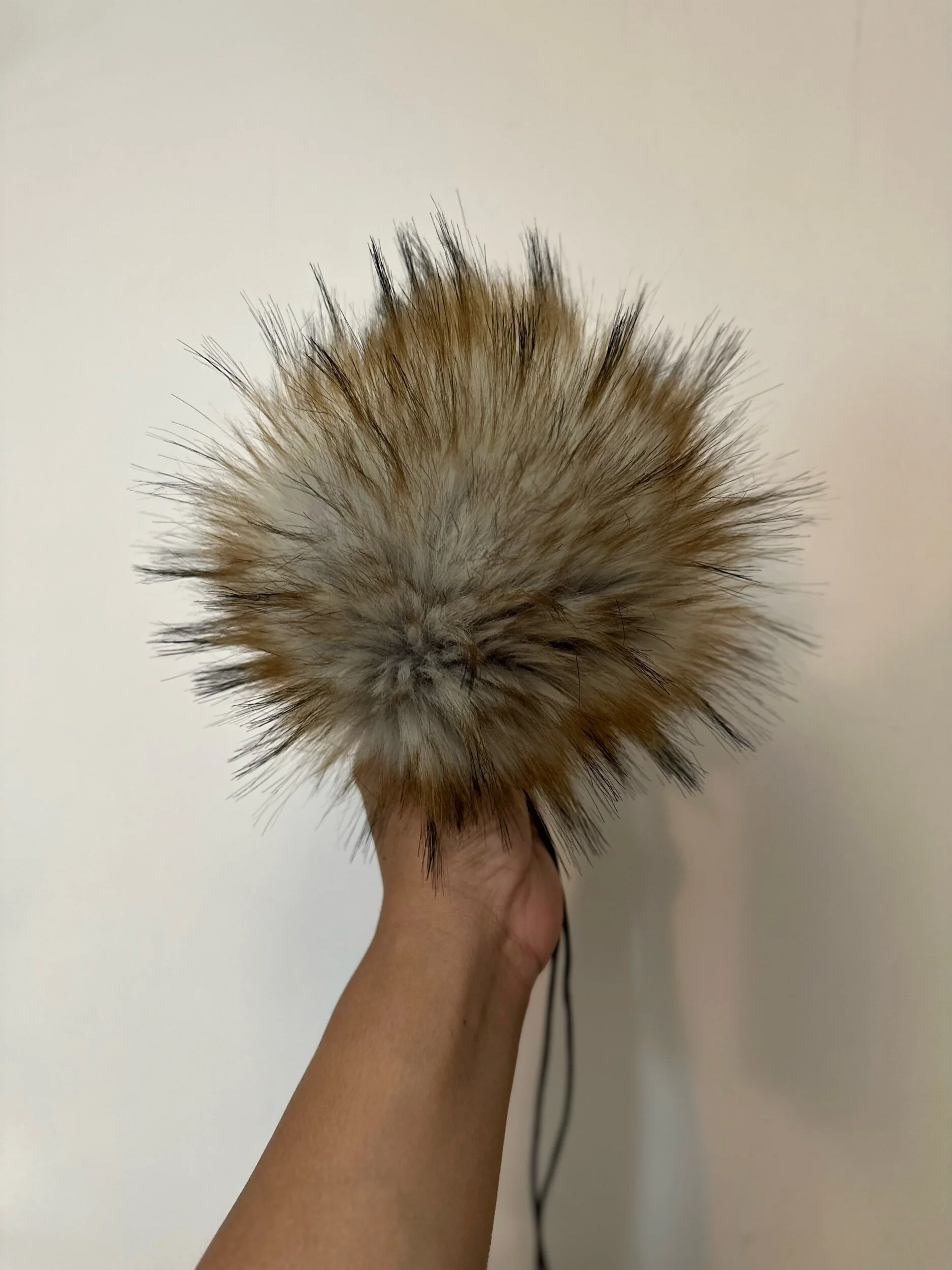 5FE3D4CB-8681-43CA-8BE3-54386902095D