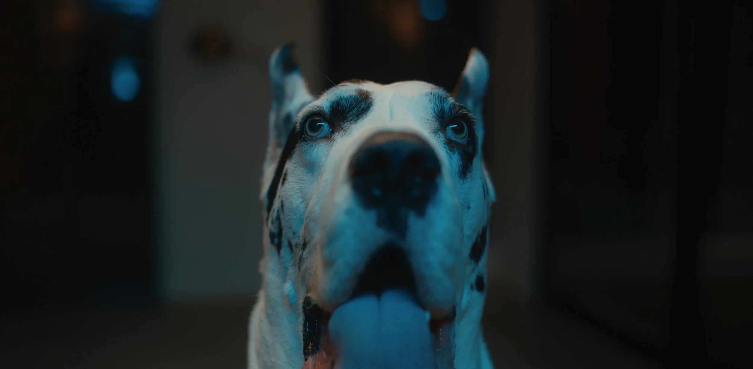 portl_stills_23.jpg