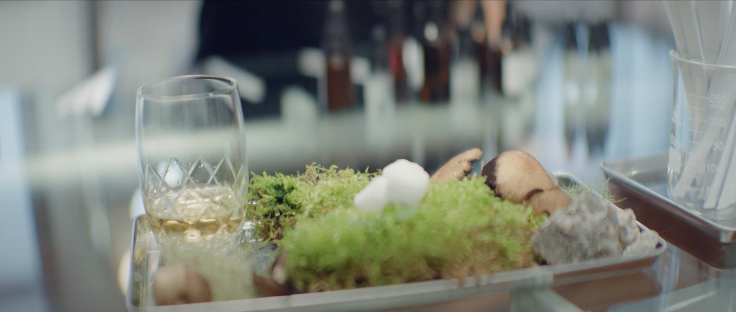 Screenshot 2025-12-19 at 5.12.51 PM.png