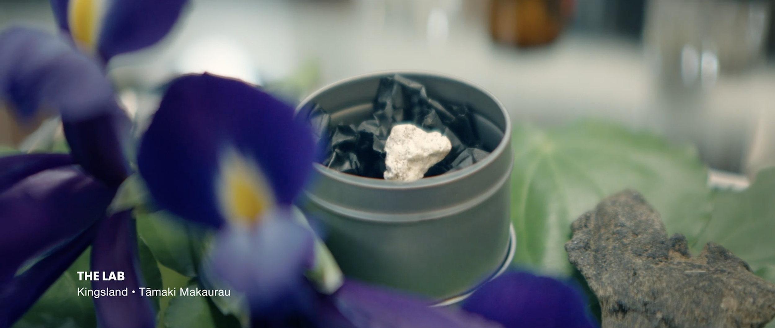 Screenshot 2025-12-19 at 5.06.12 PM.png