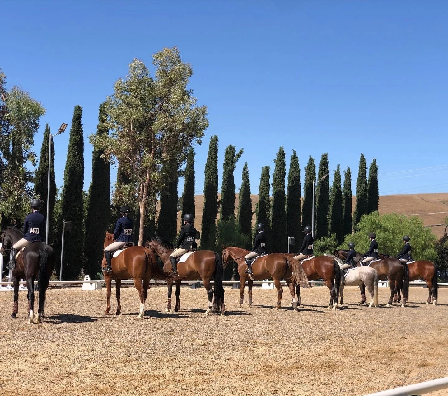 Tally Hawk "Faux" Show 6/26