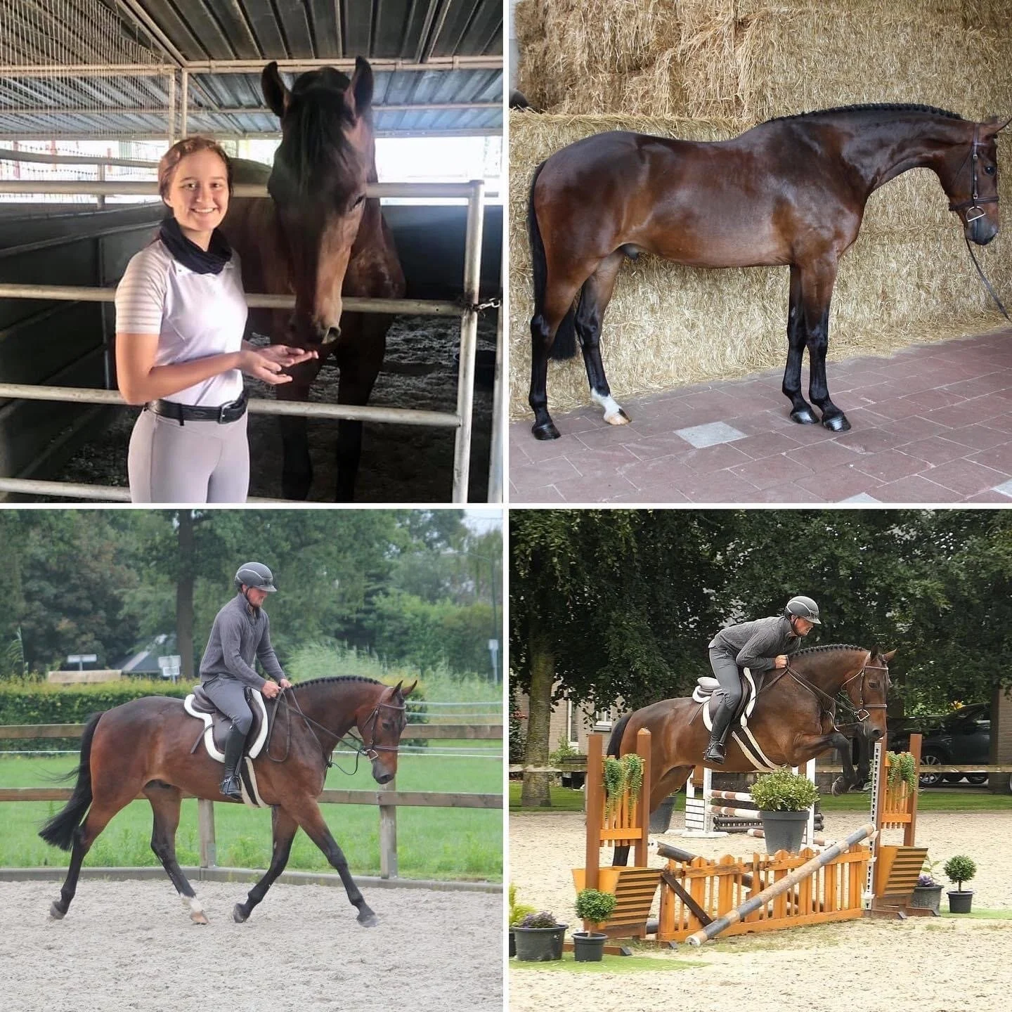 Welcome "Leo" and Congratulations to the Mehta family!