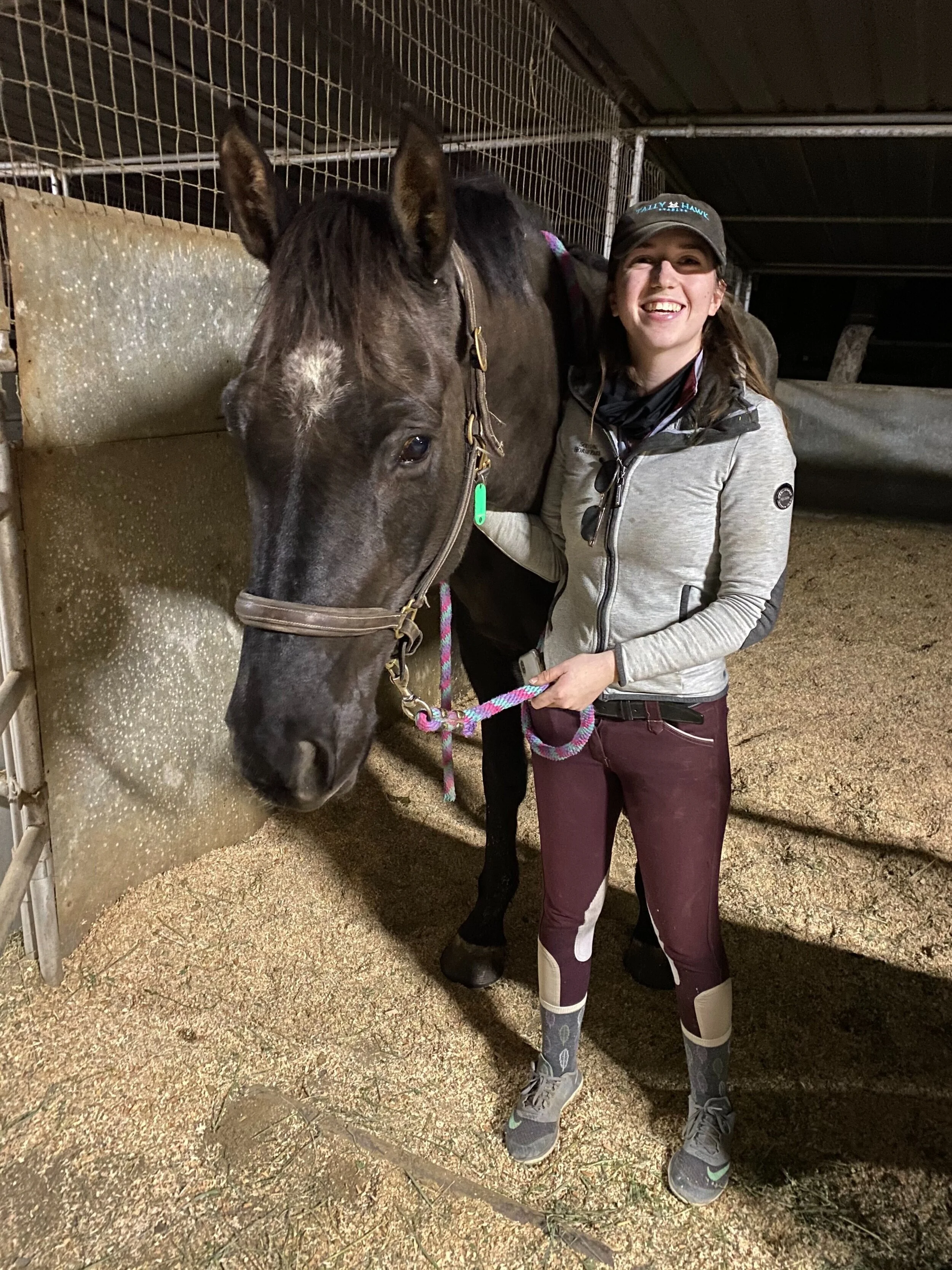 New Horse and New Lease updates!