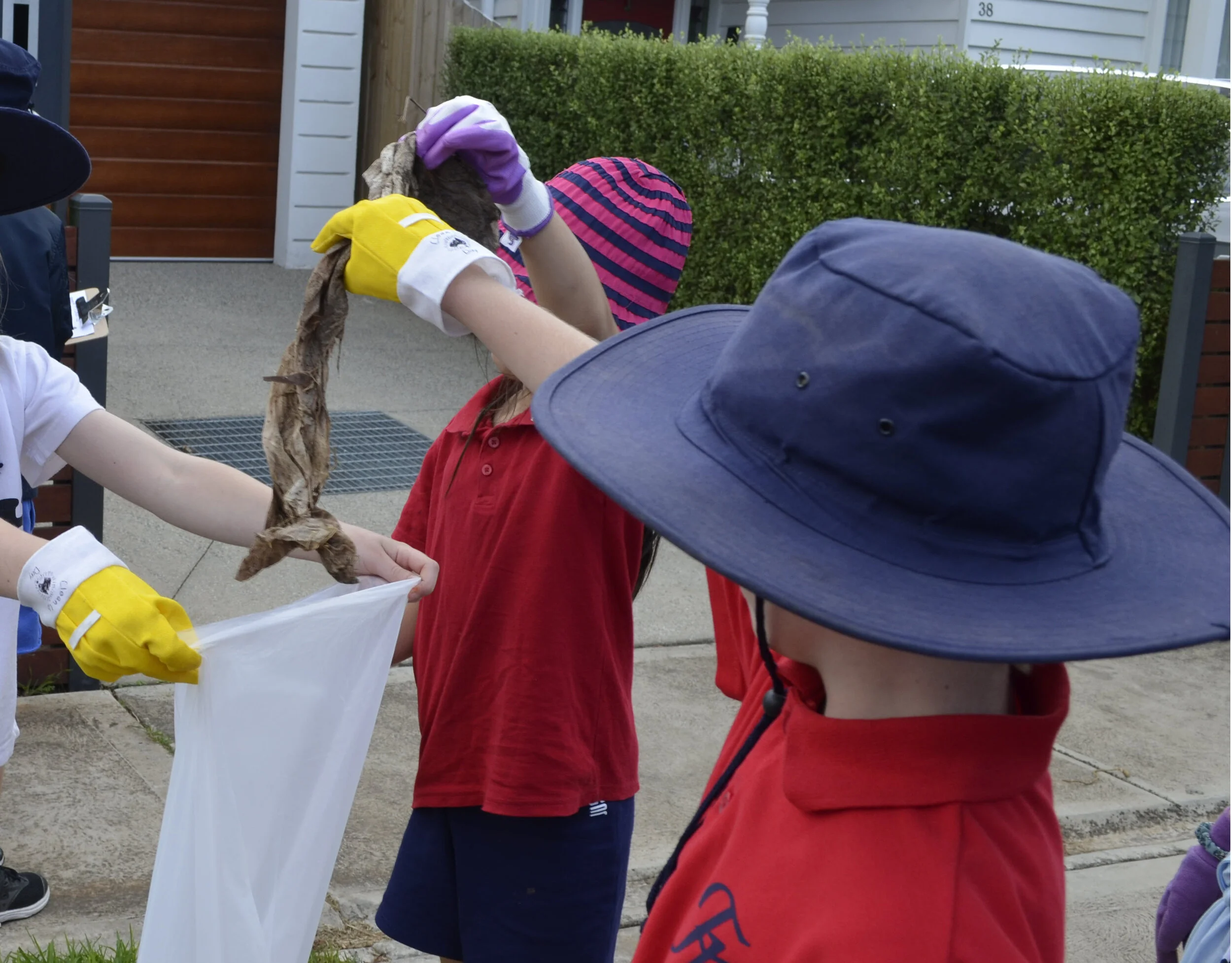 Clean Up Aust Day 2.JPG
