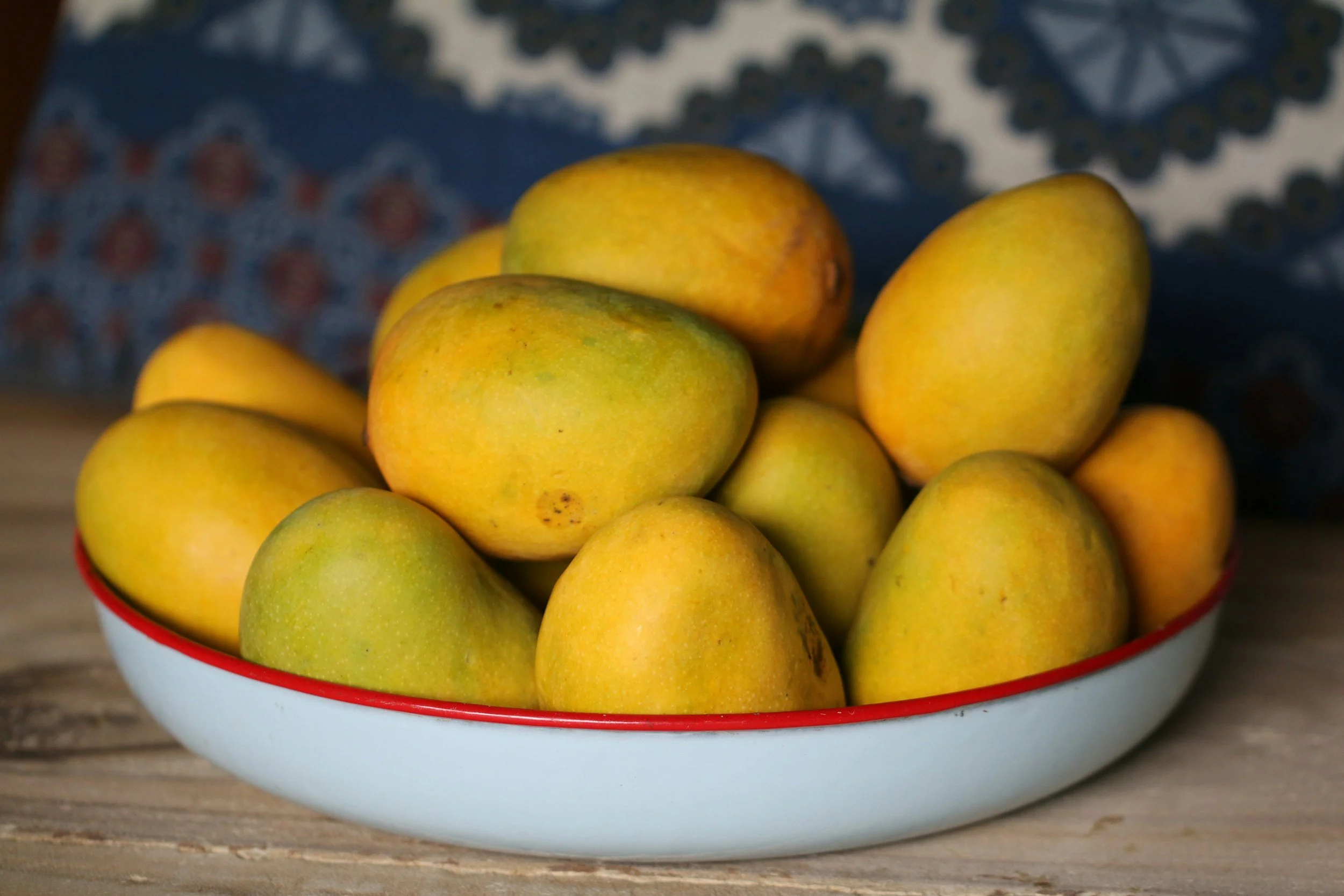 Mango Fundraiser