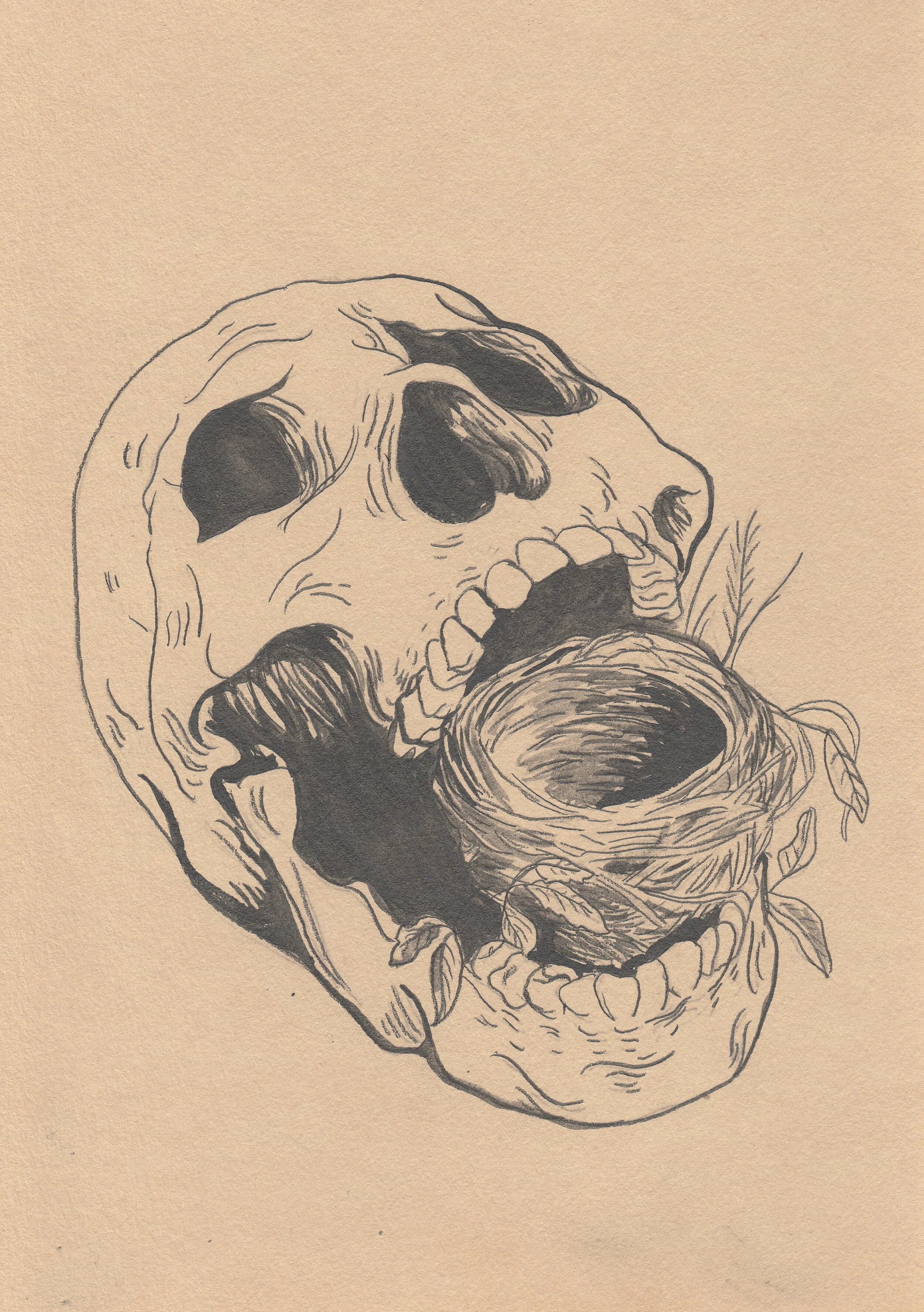 nest scan.jpg