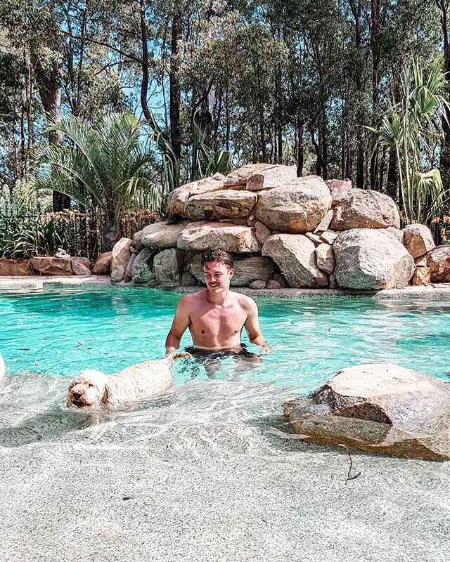 MEET NAPOLEON 🦘

Here at Kangaroo Valley, even our animals live in luxury! It is a tradition for our Poodle Napoleon to dive in for a cool off after his daily walk 🐕 Napoleon has been enjoying the lavish Homestead for 12 years and I can assure you,