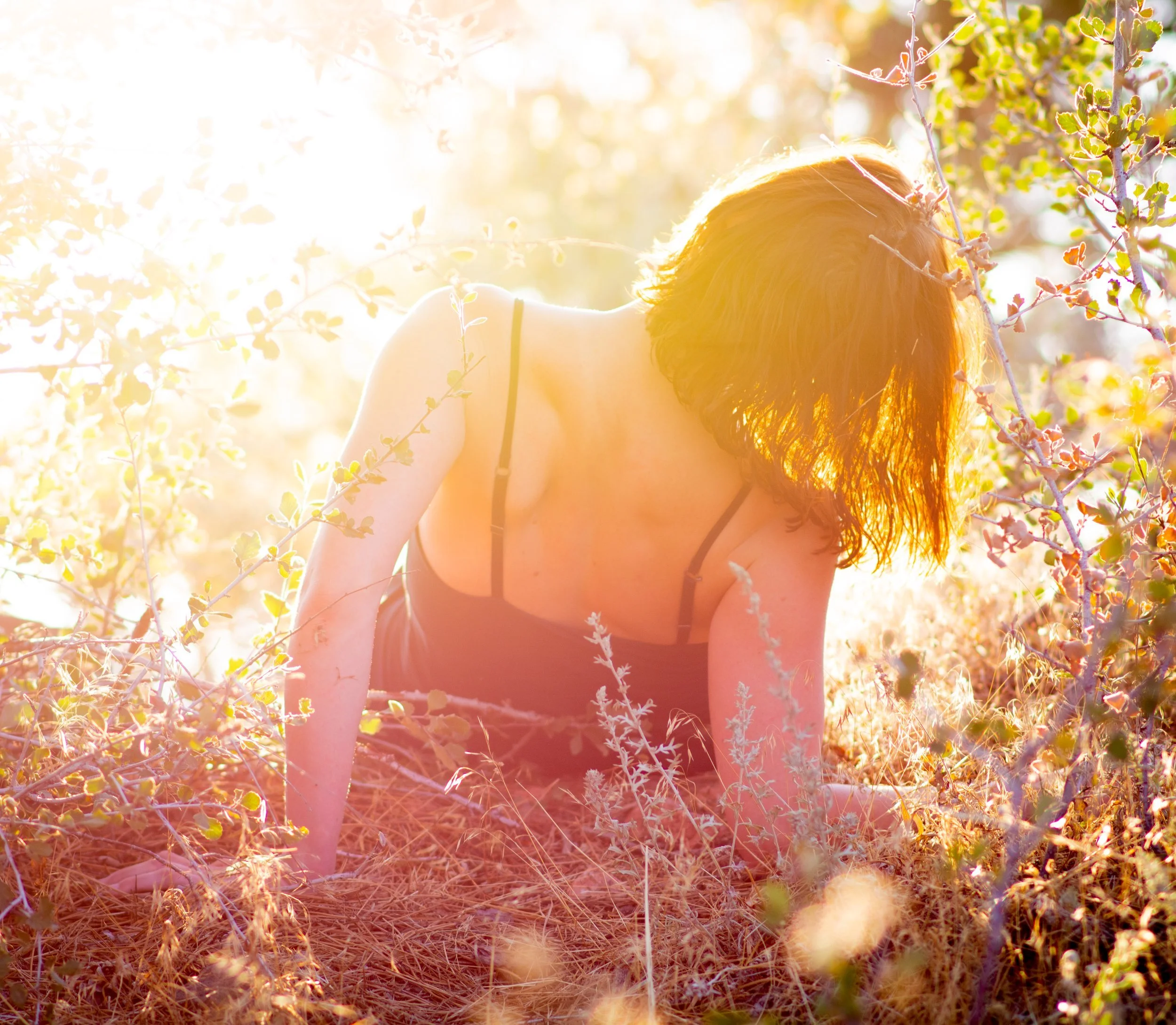 Canopy: A Fall Drive through Sound, Color & Stories