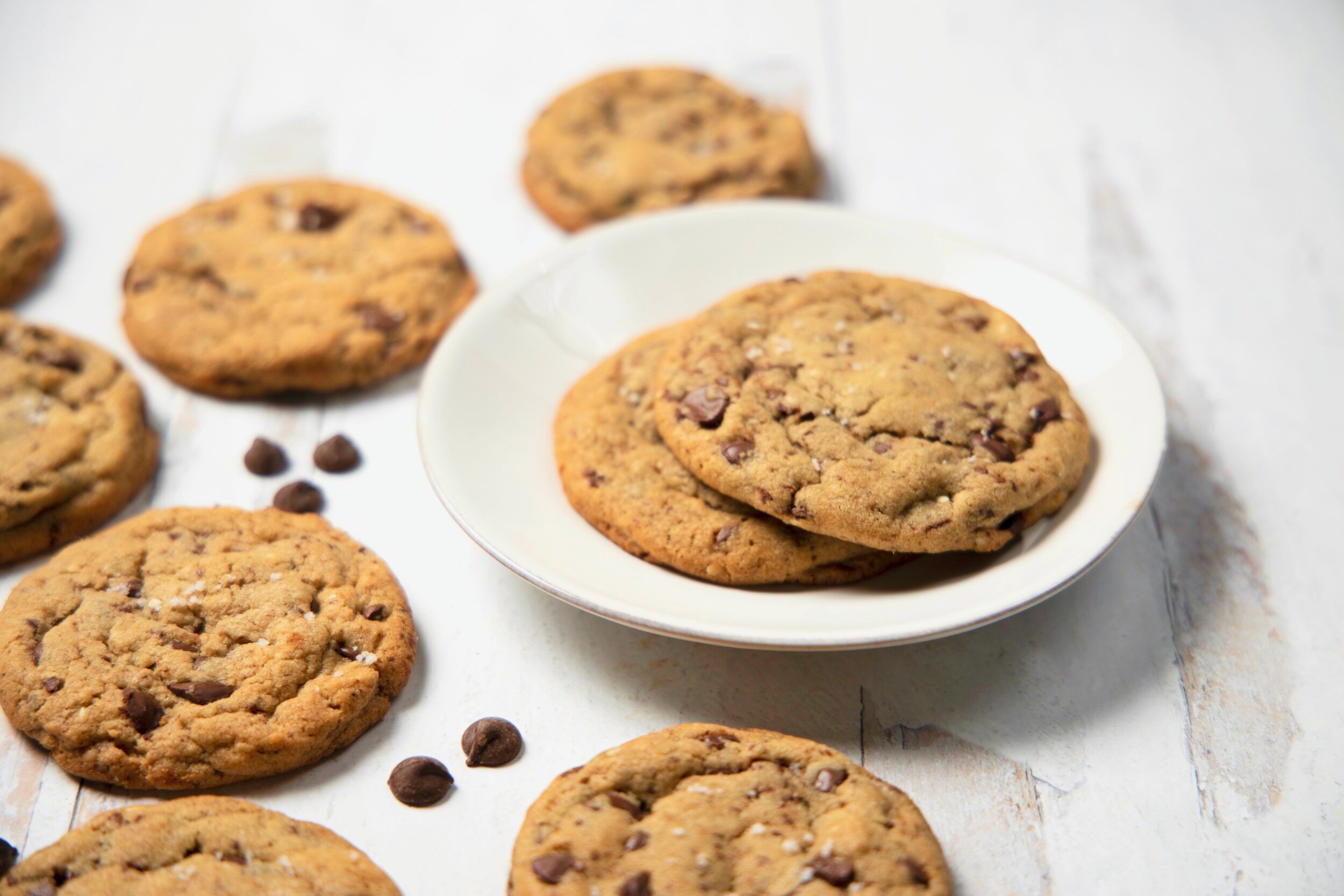 Photos by Daniel Marks