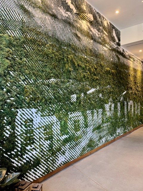 A wall of greenery with the Hollywood sign written backwards inside the 1 West Hollywood Hotel