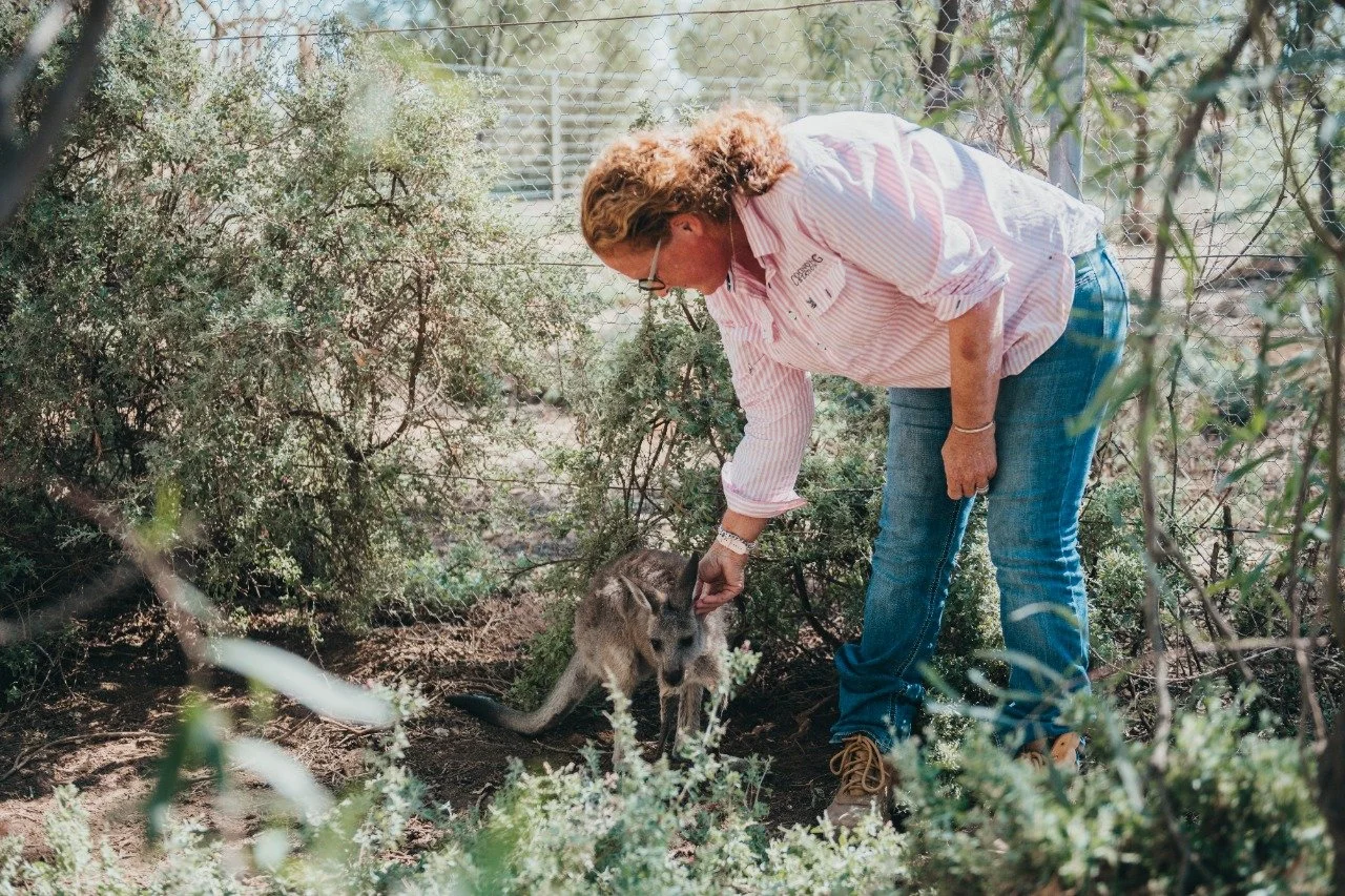 WhatsApp Image 2021-11-04 at 10.25.48 PM.jpeg