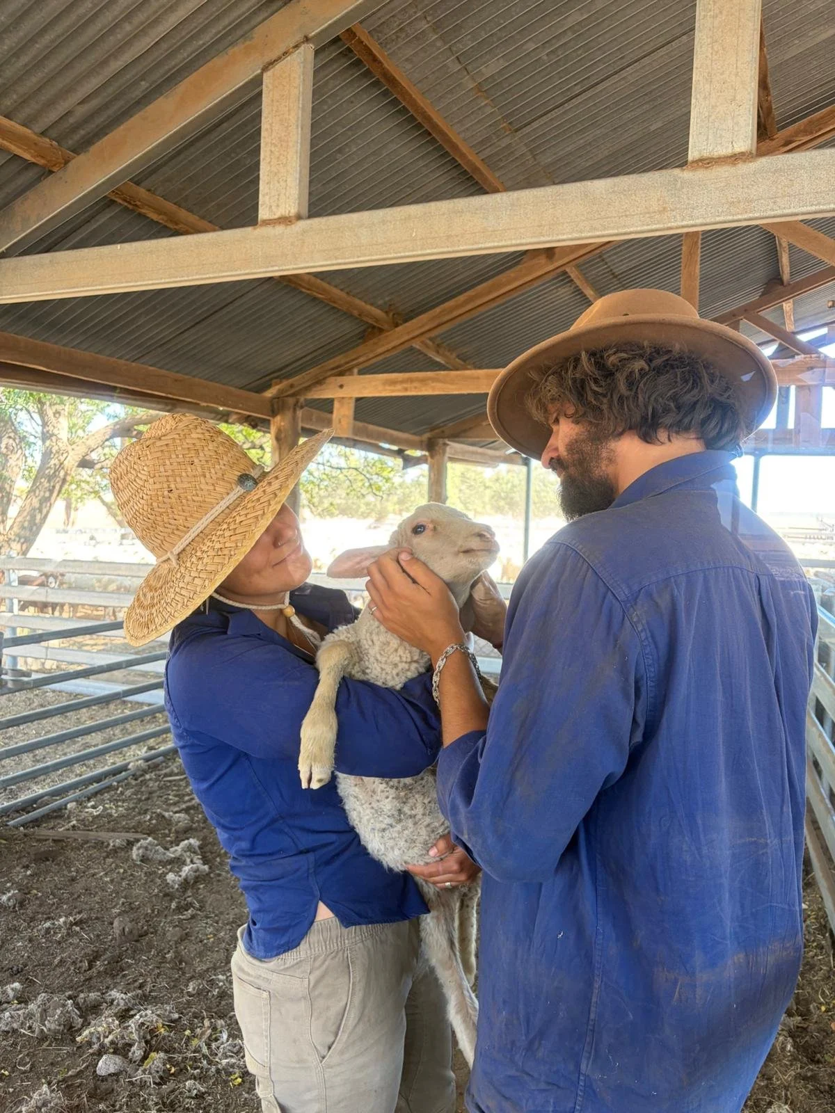 PHOTO-2026-03-03-05-51-16 2.jpg