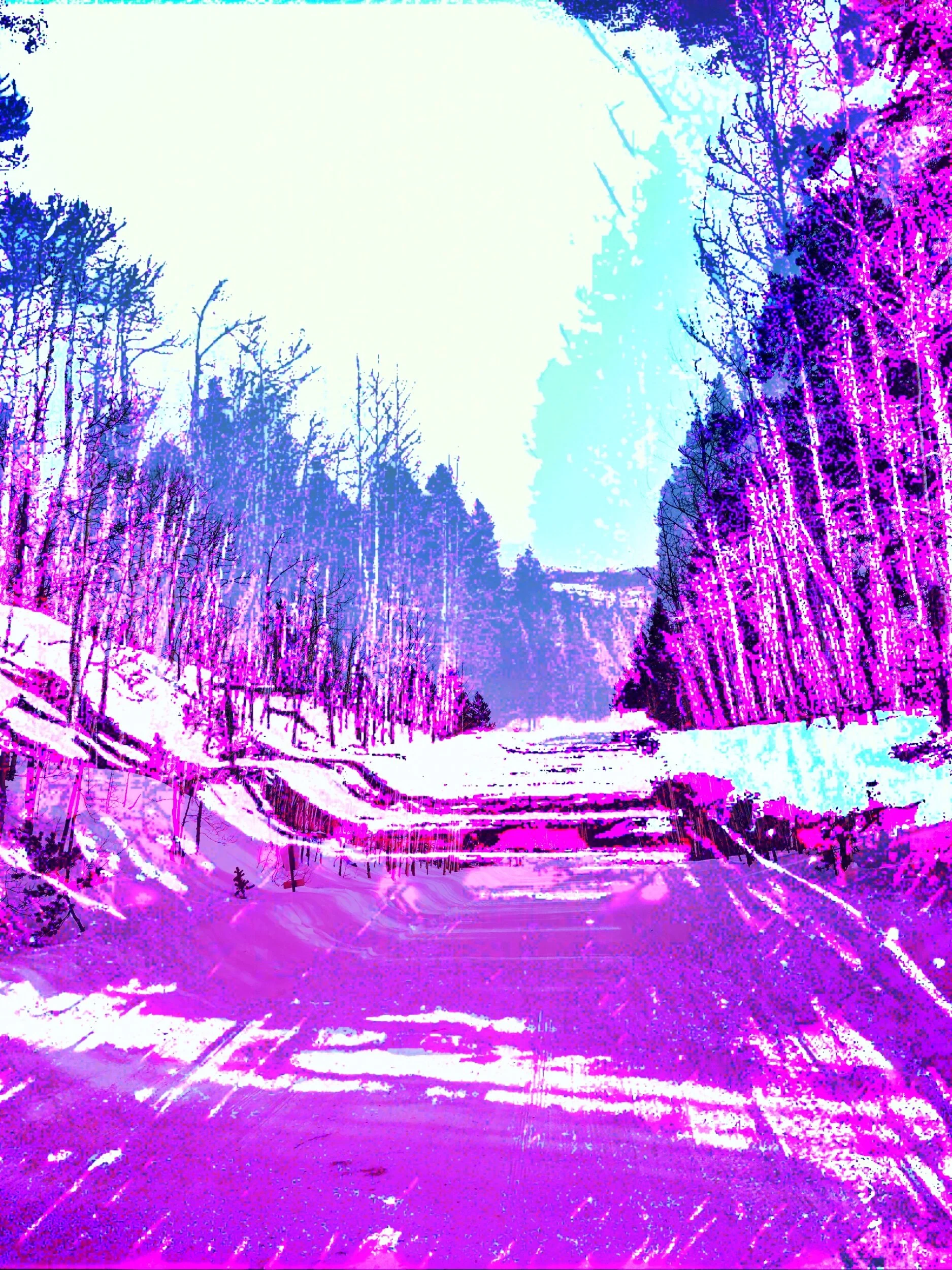 IMG_0380.jpeg