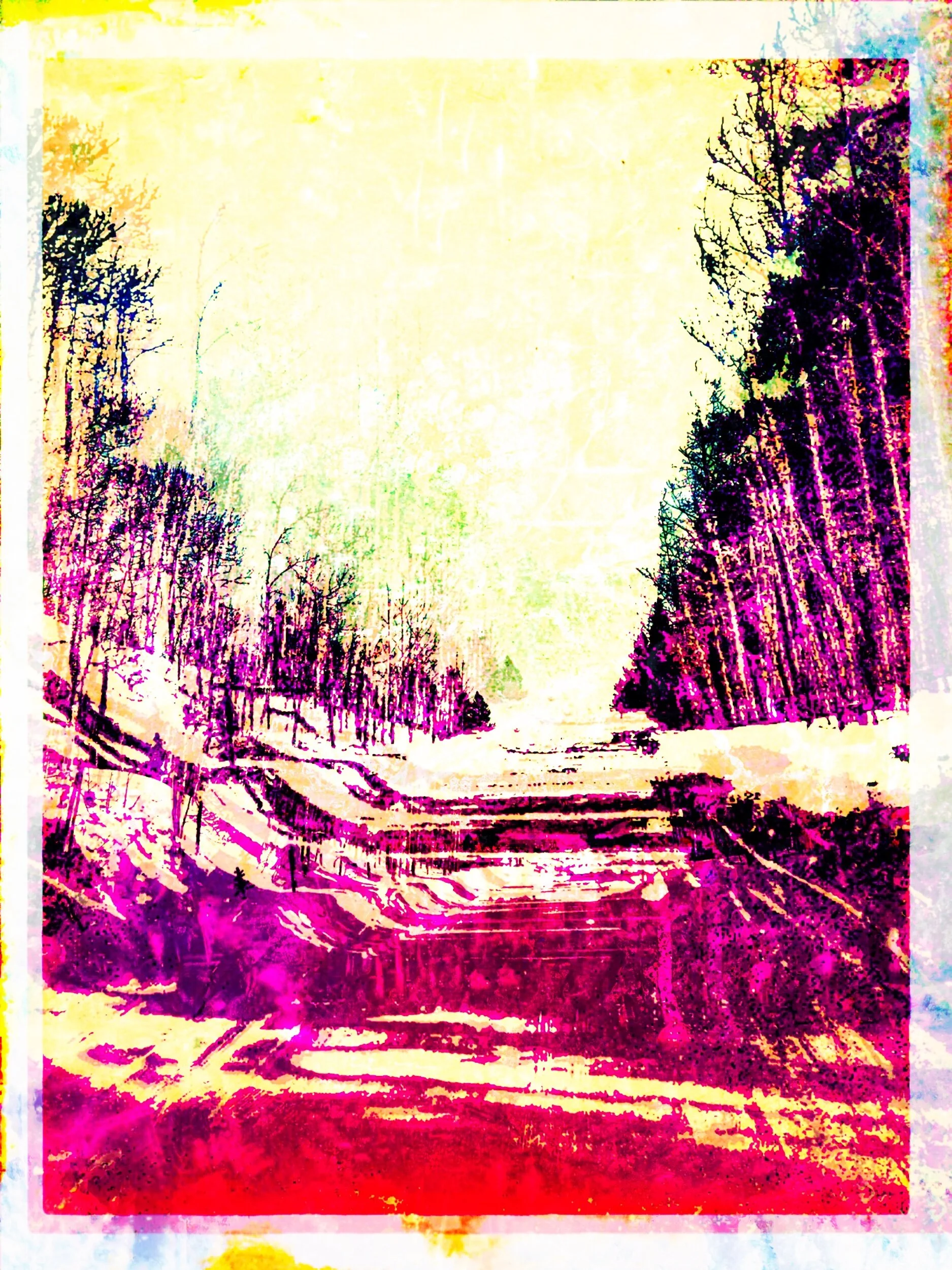 IMG_0389.jpeg