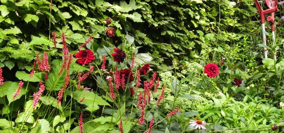 Tuin Chaumont-sur-Loire Jardin Jeroen Jacobs