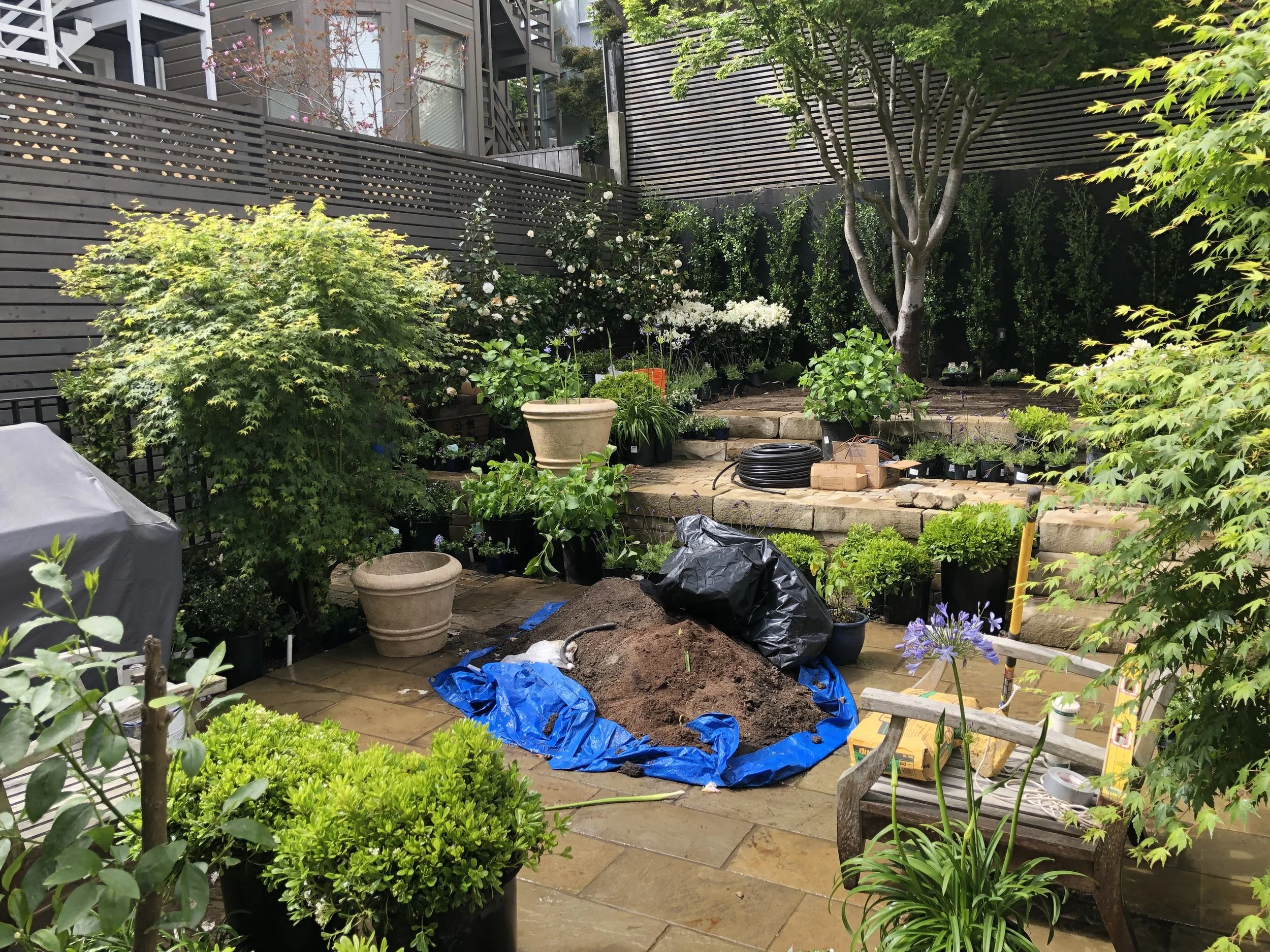 Tuin in aanleg Studio Jacobs