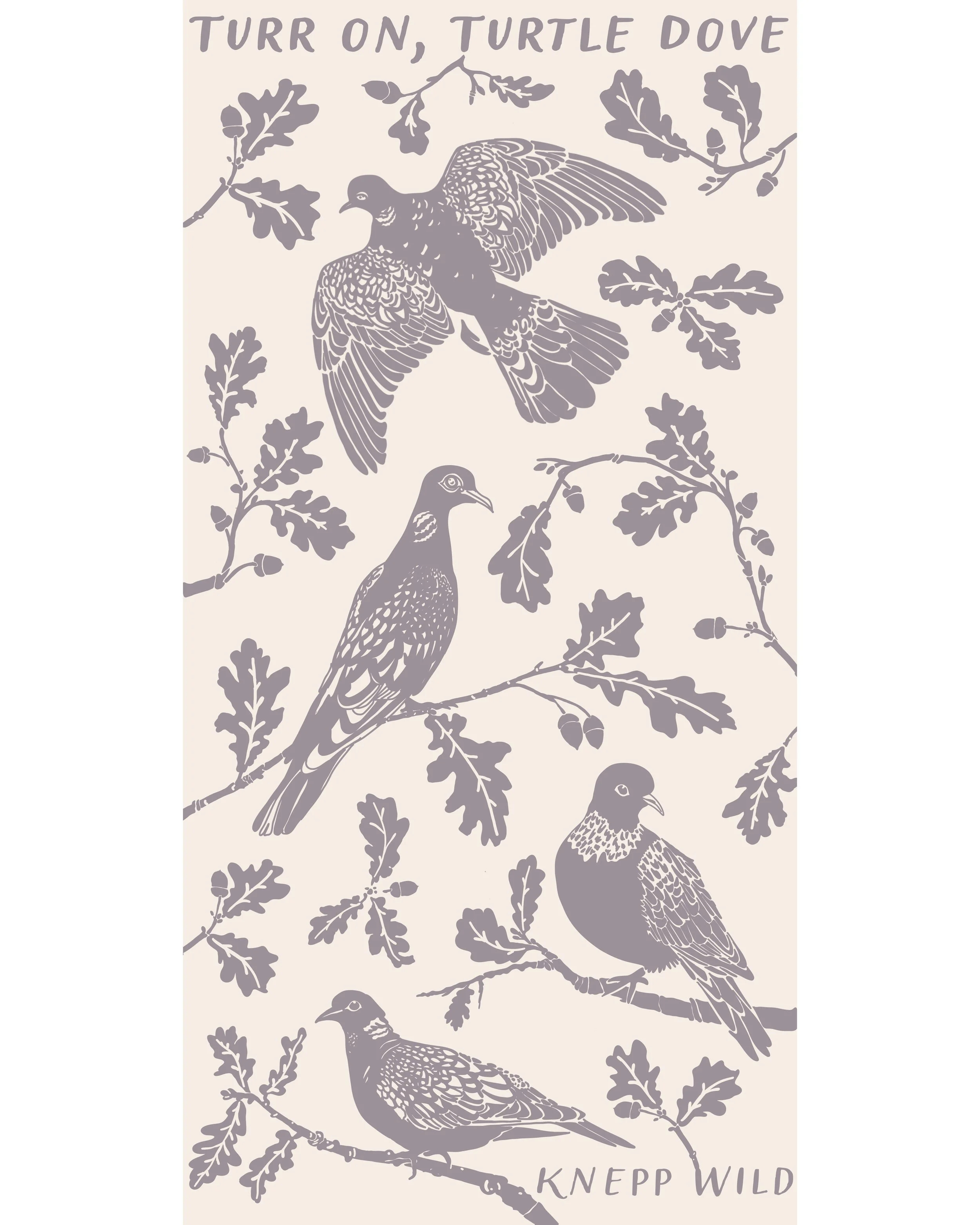 Turr on Turtle Doves boarder.jpg