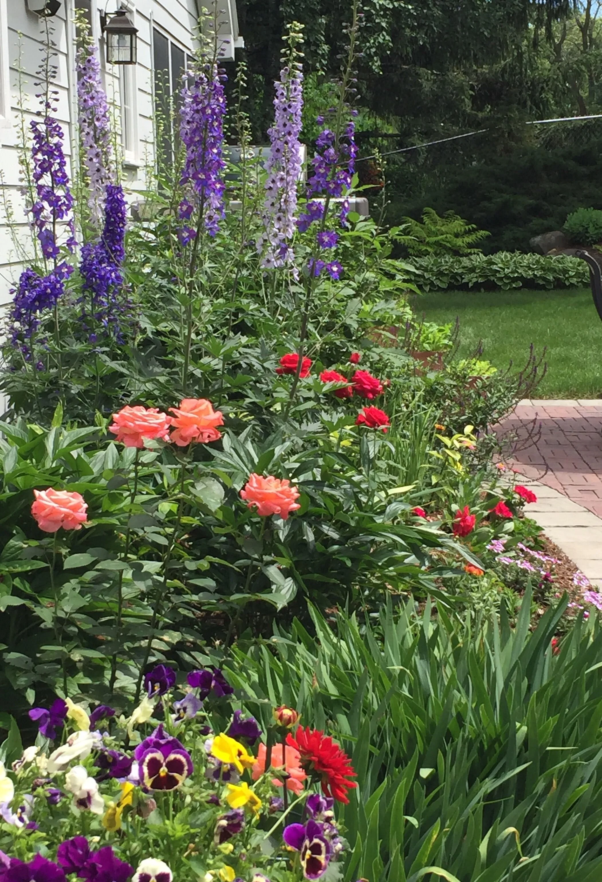 How Landscaping Companies Near Me Add Color and Texture to Backyards in Verona, WI