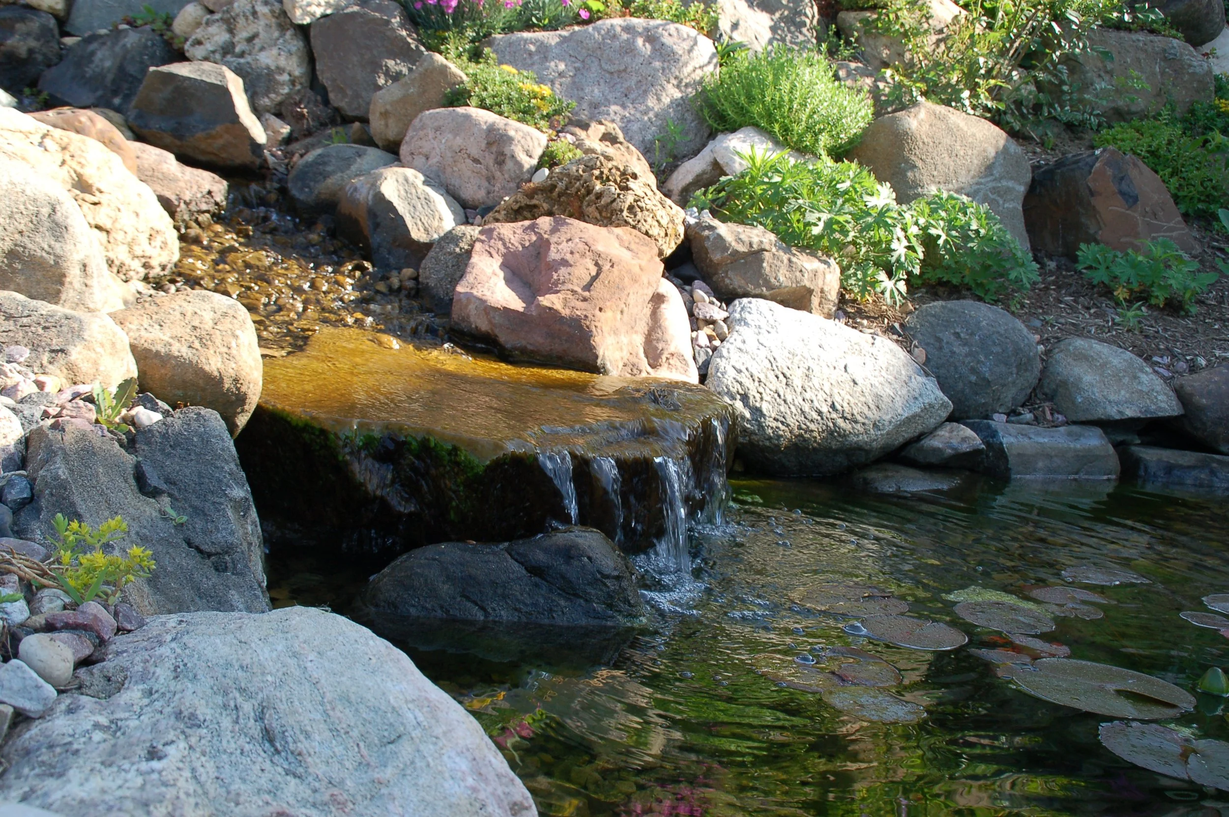 Professionally installed pond in Mt Horeb, WI enhancing outdoor living