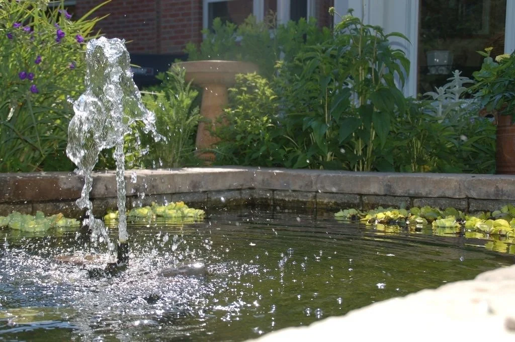 What Makes a Pond Work as More Than Just a Visual Feature