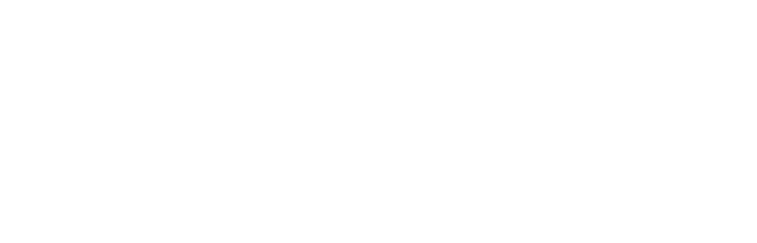Ståle Nilsen Seafood_Logo_Hvit.png