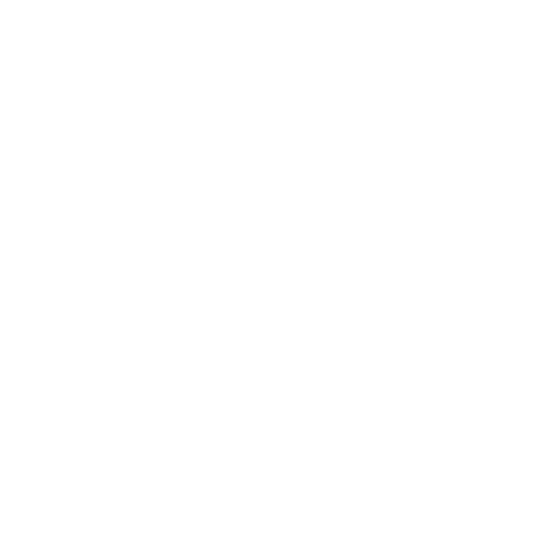 Nordlys Forsikring_logo_hvit.png