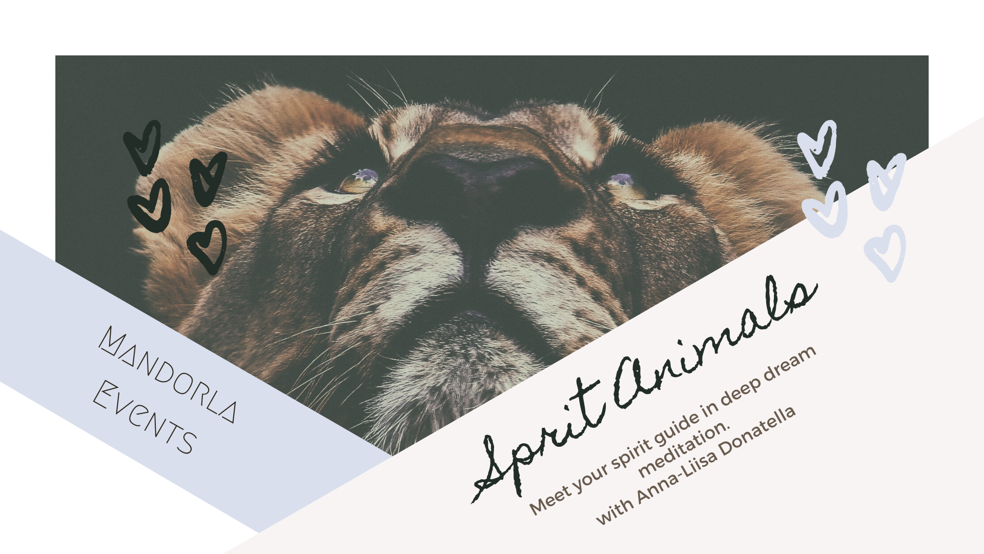 Spirit Animals — Chocolate Studios