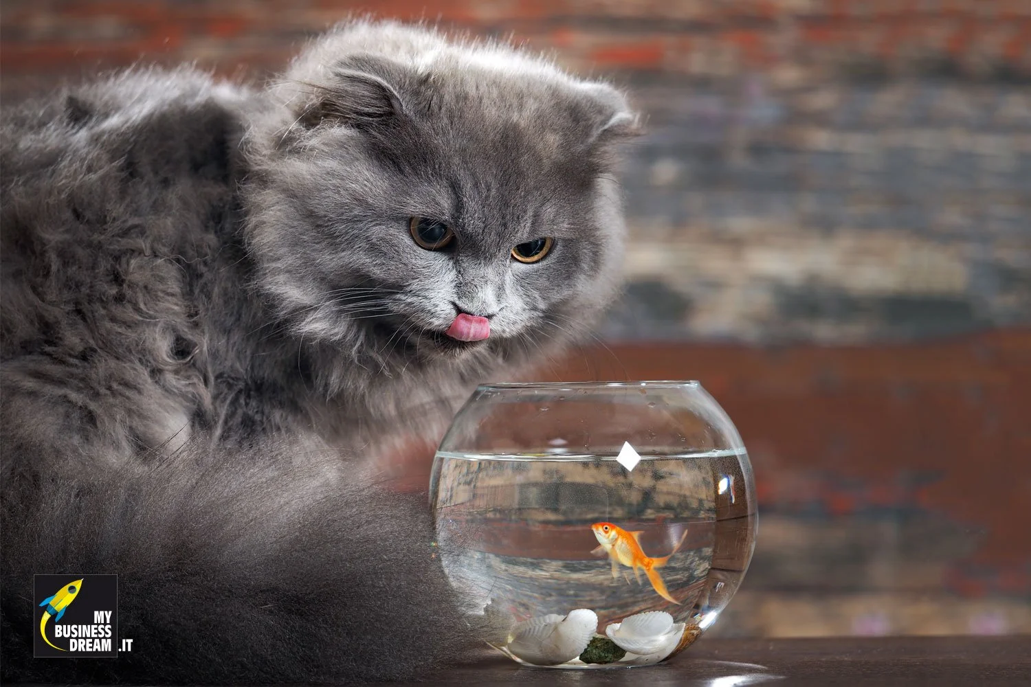 La fretta di agire per realizzare un'idea di business