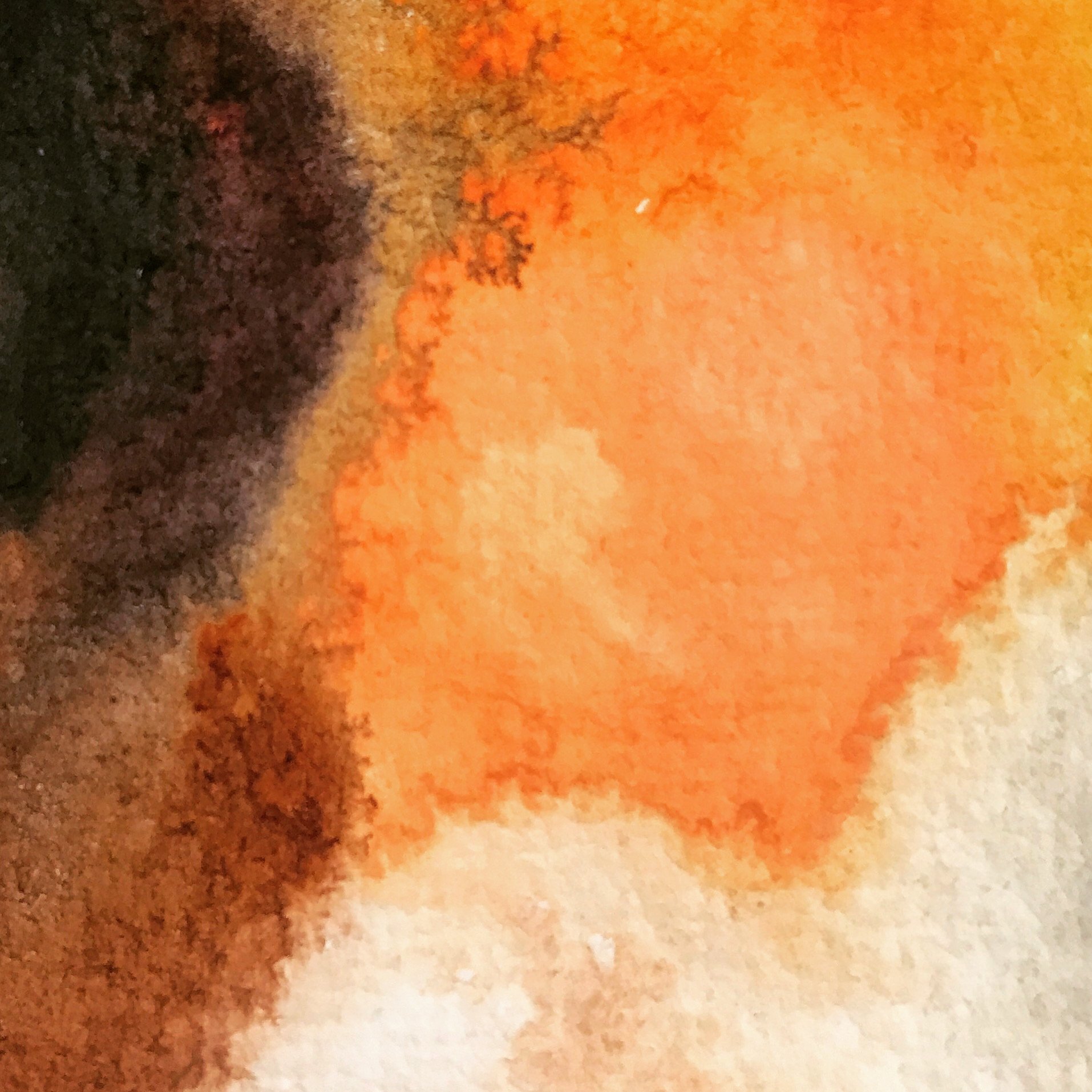 F177C612-9861-4285-A50F-E2D1D81B09C6.jpeg